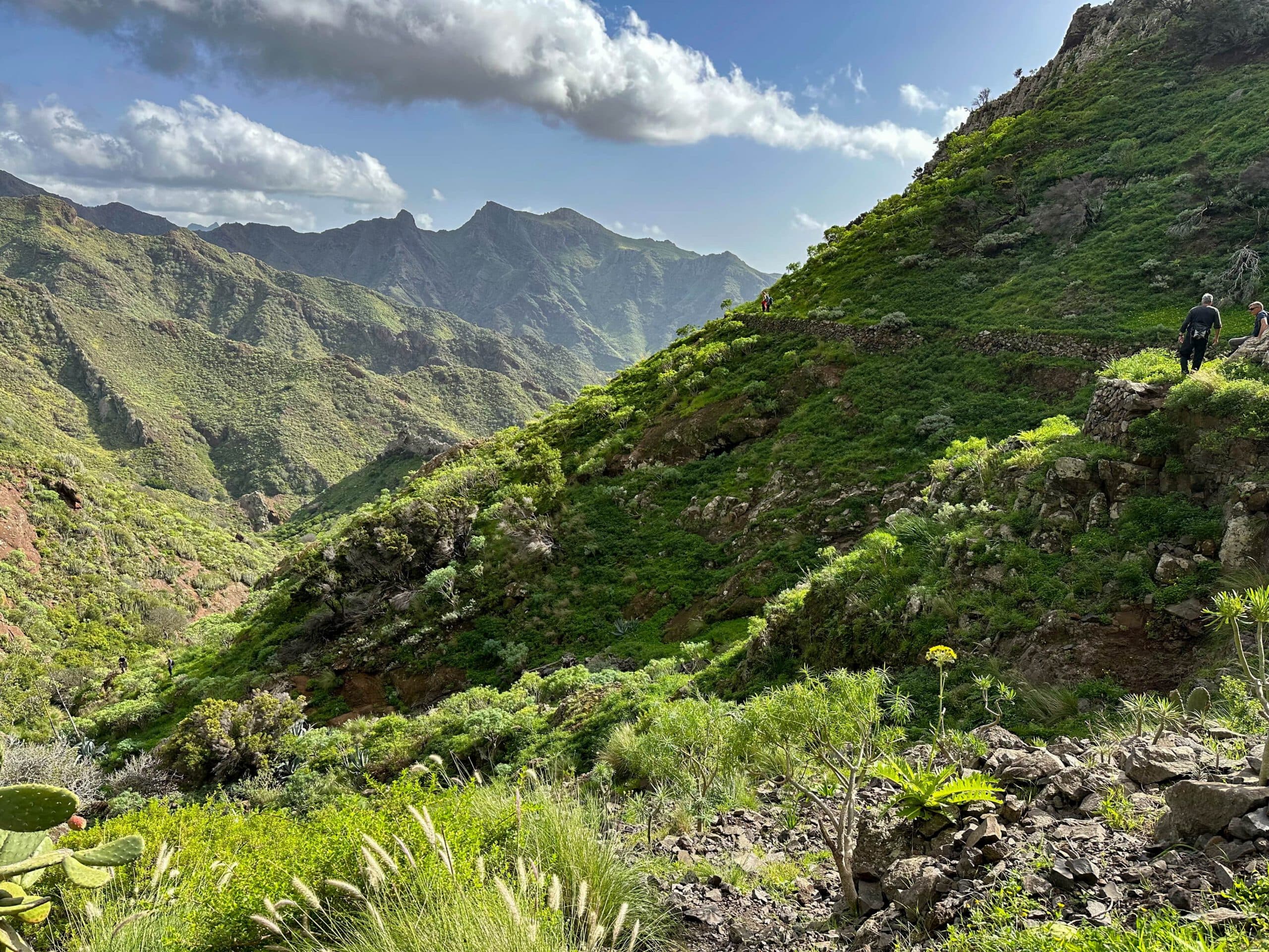 Senderistas en el Camino del Canal
