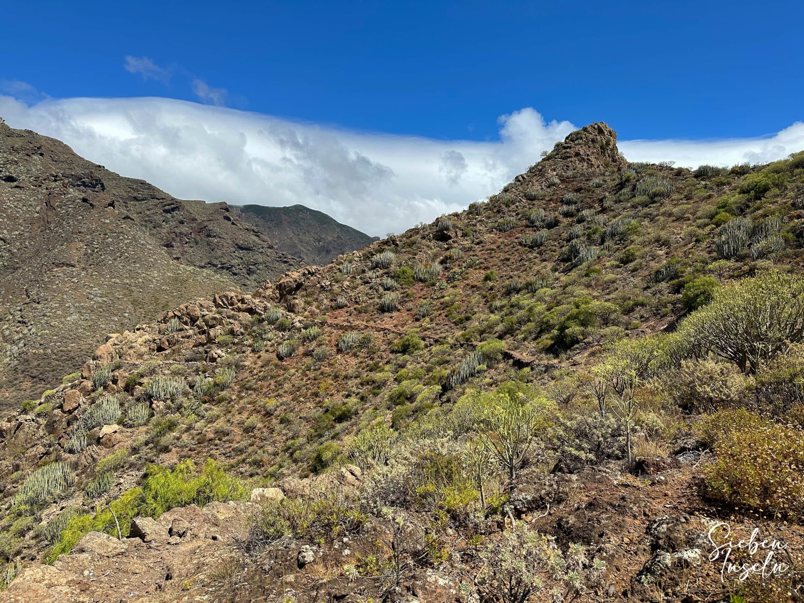 Wanderweg hinter dem Felsentor am Hang entlang zum Plateau