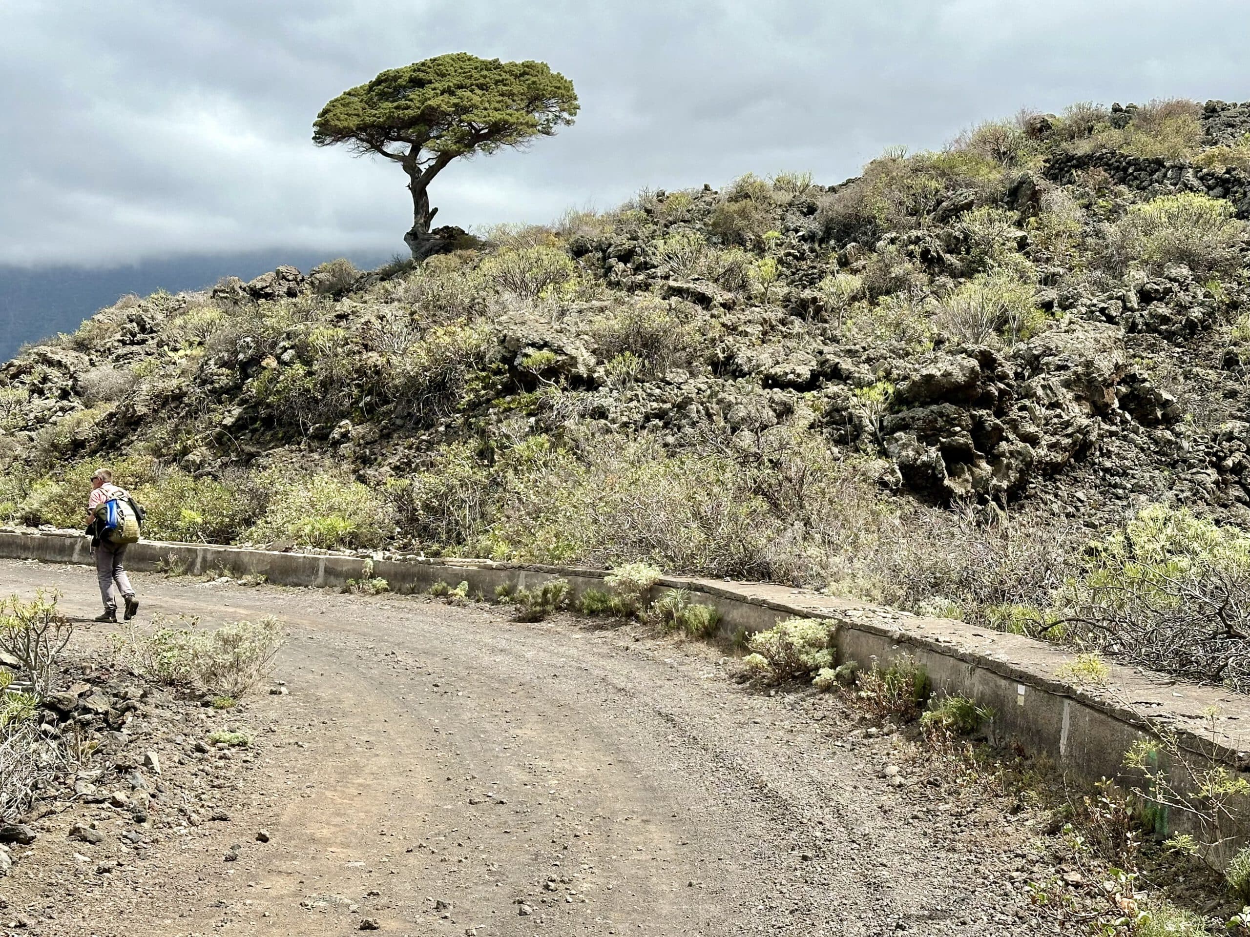 Wanderweg am Kanal entlang - Calle El Canal bis La Frontera