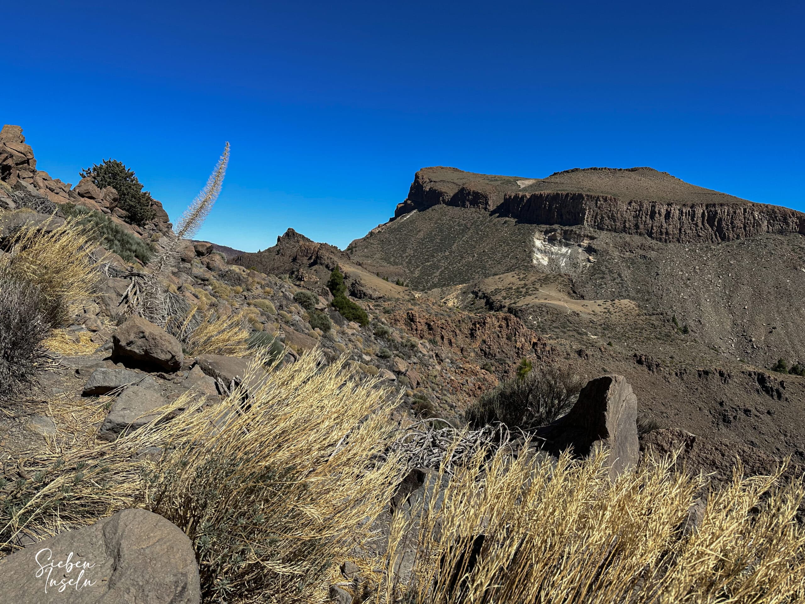 Vista del Guajara desde la ruta de senderismo