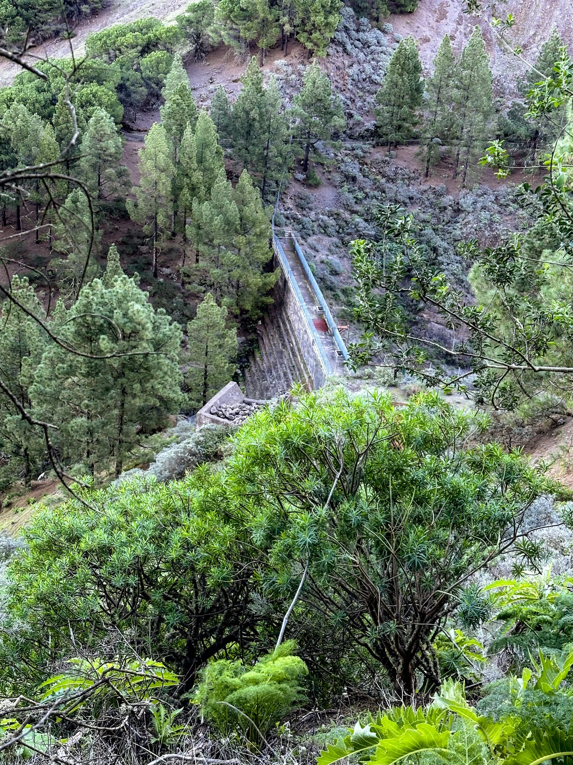 Presa de la Lechucilla on the left-hand side of the S-20 hiking trail