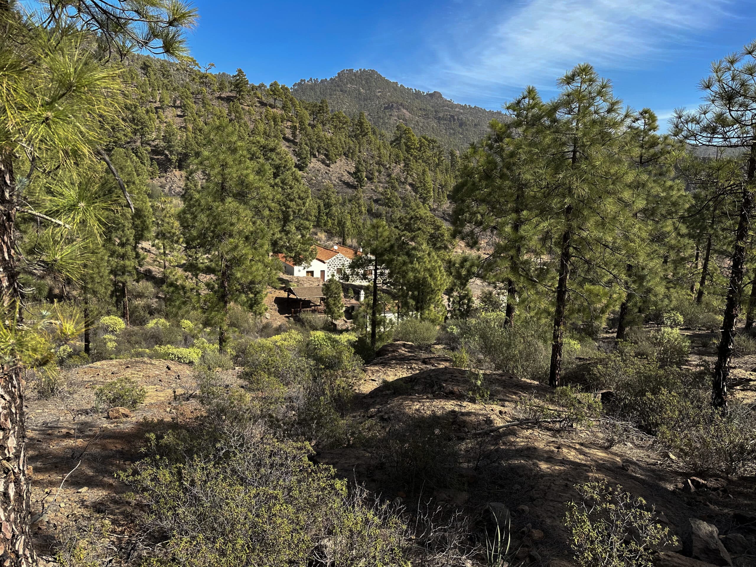 Aula de la Naturaleza