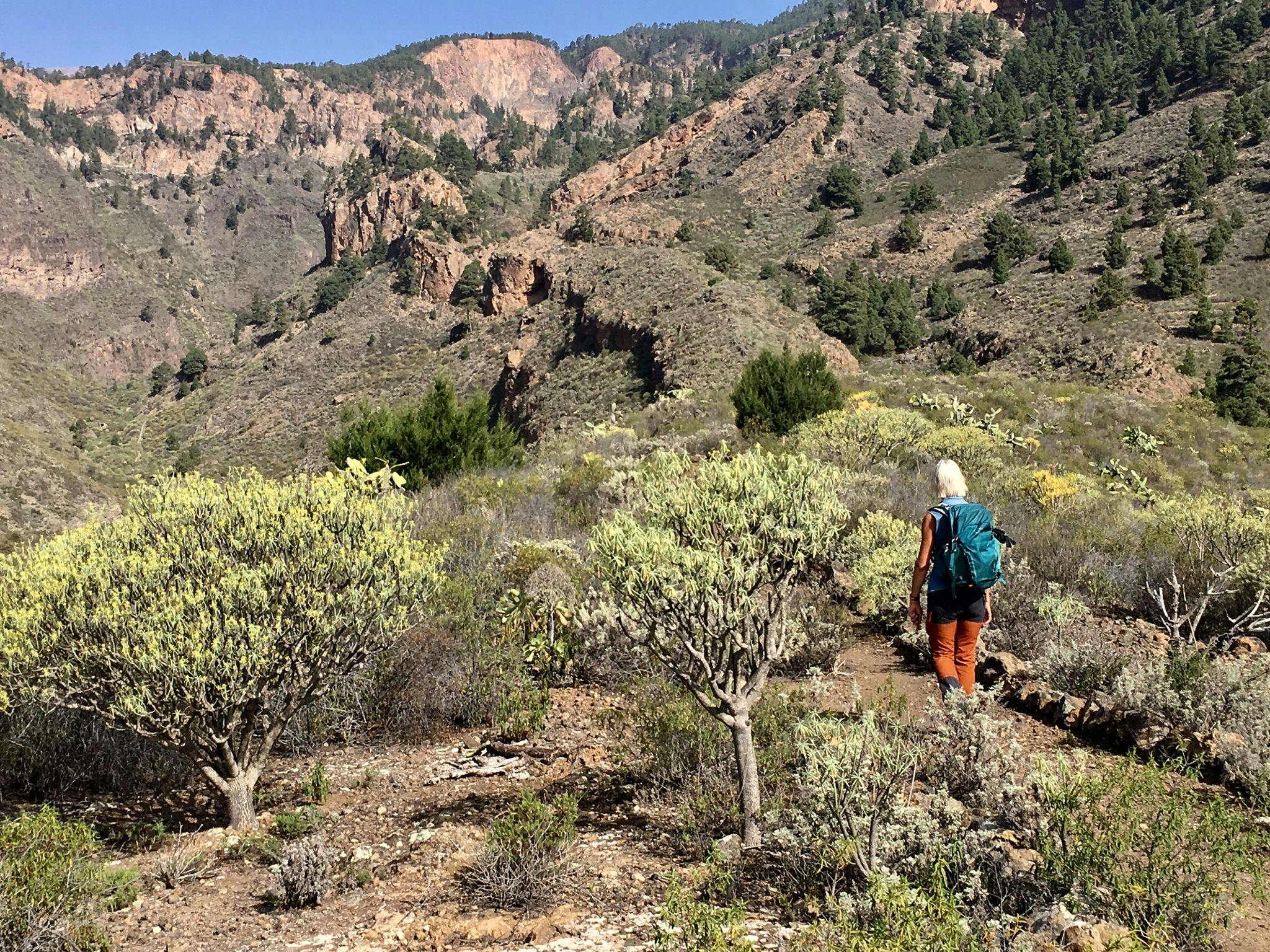 Circular Hike with Cave Visit in Arico Viejo