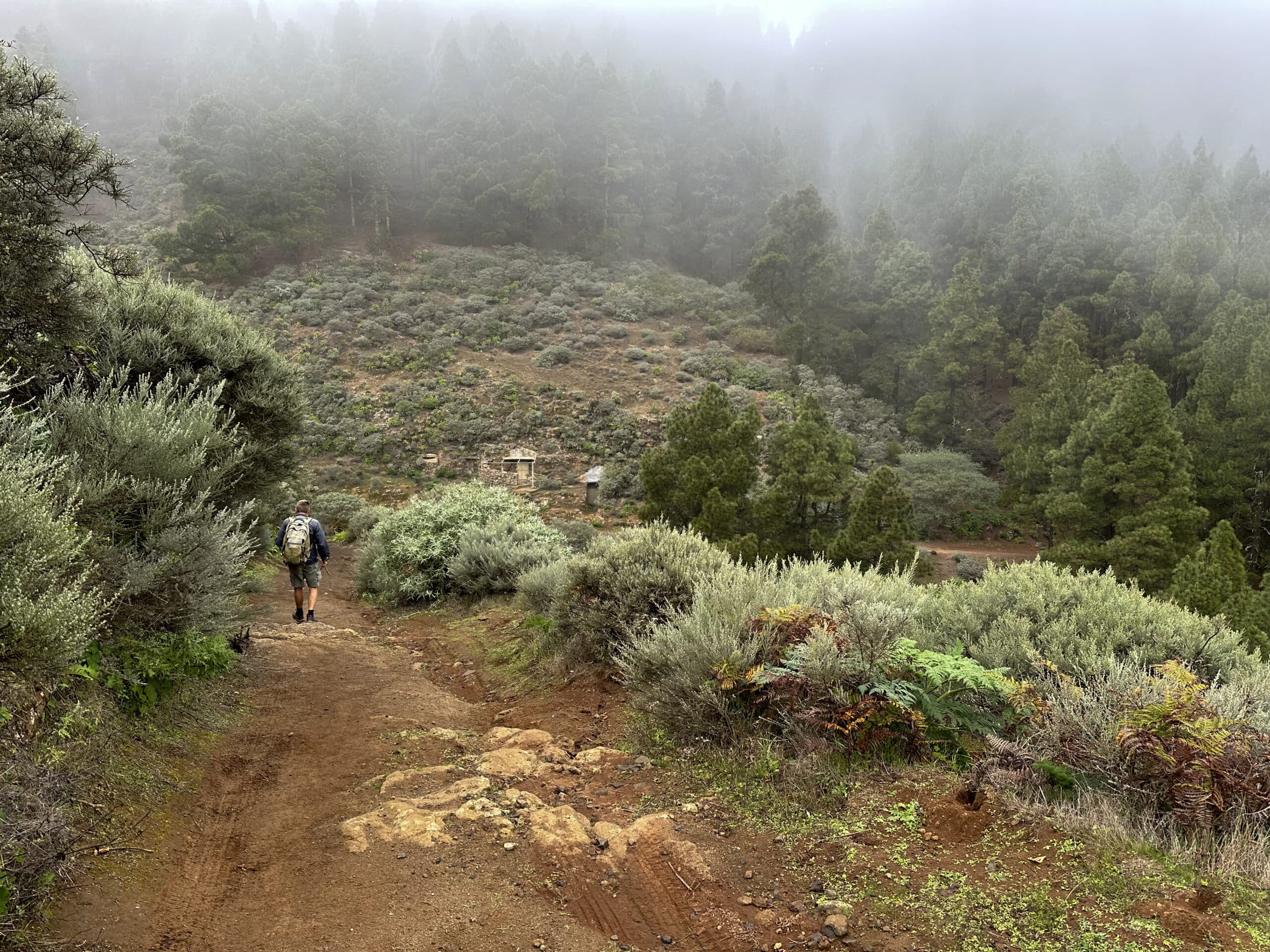 Hiking trail below the Caldera de Los Marteles