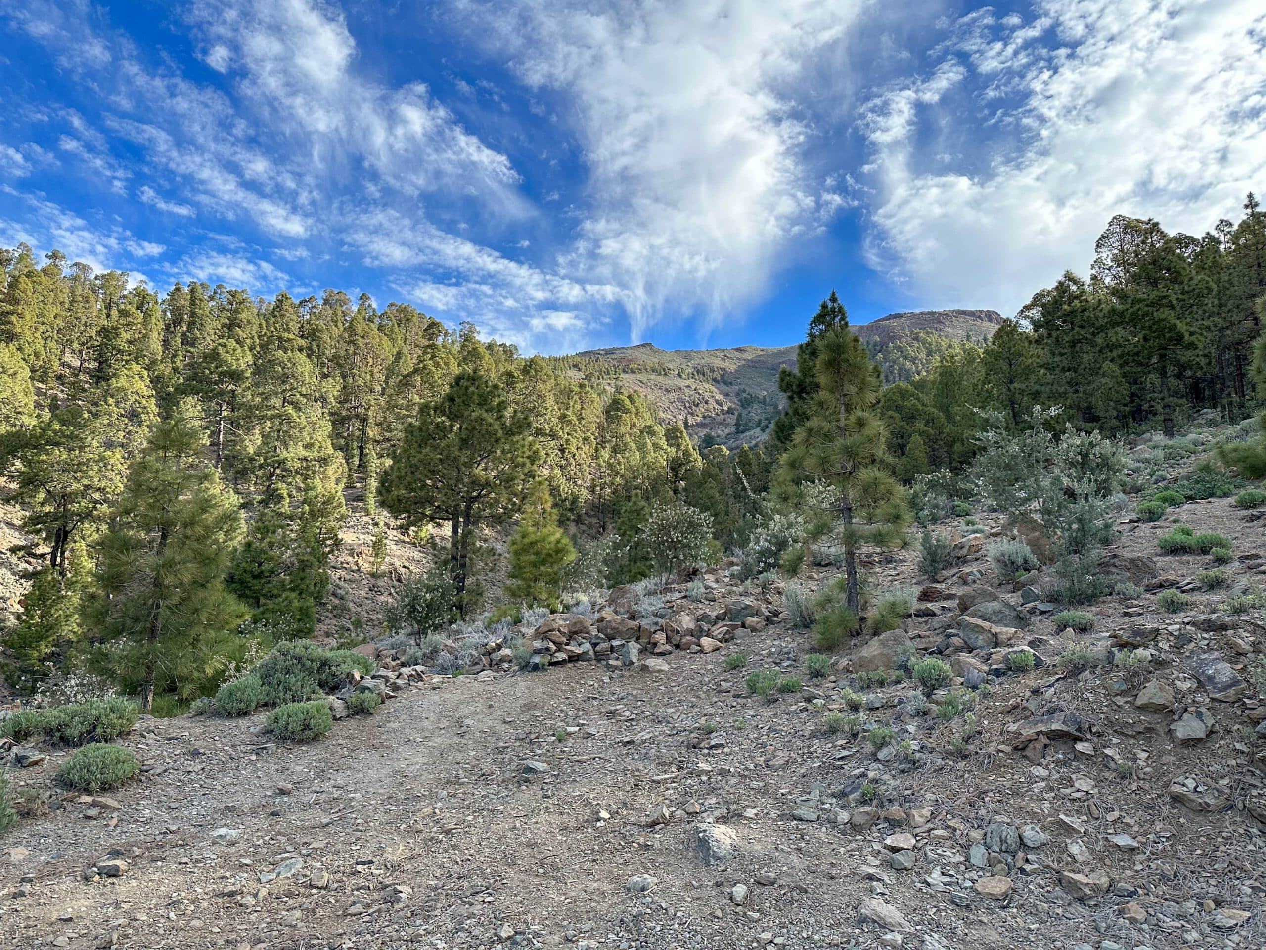 Vista desde el sendero de la Montaña de Las Lajas hasta las Cañadas

