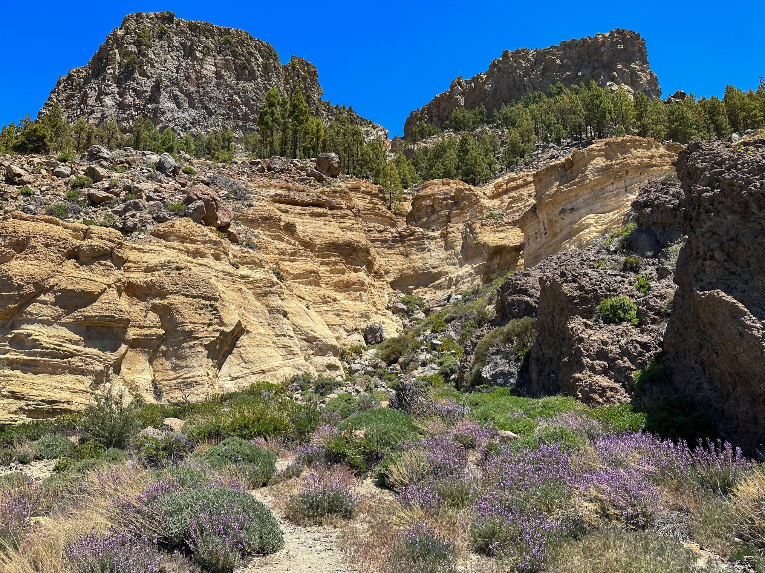 Circular Hike through Many Gorges around Montaña de las Lajas