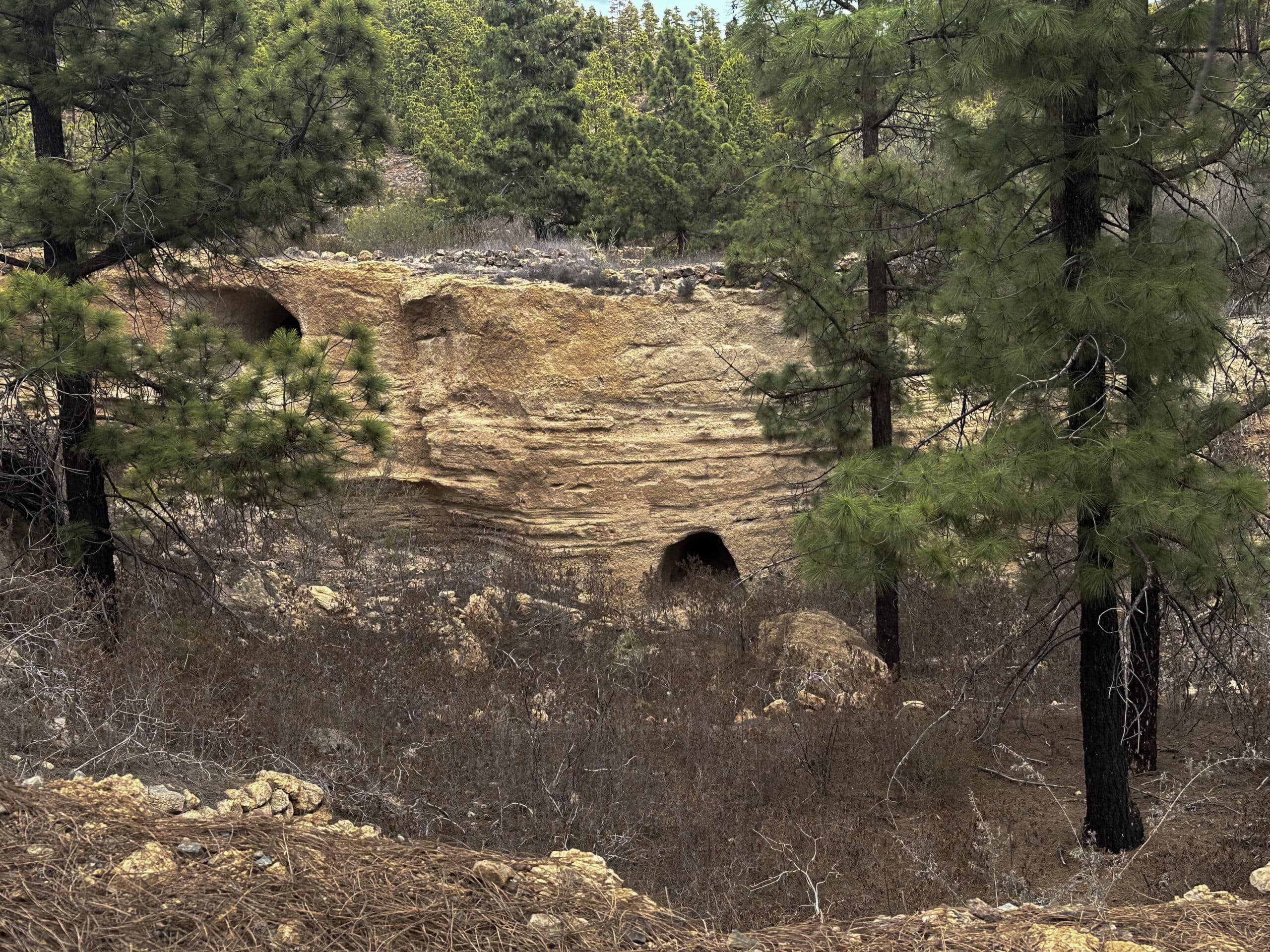 Cuevas de roca blanca en el GR-131
