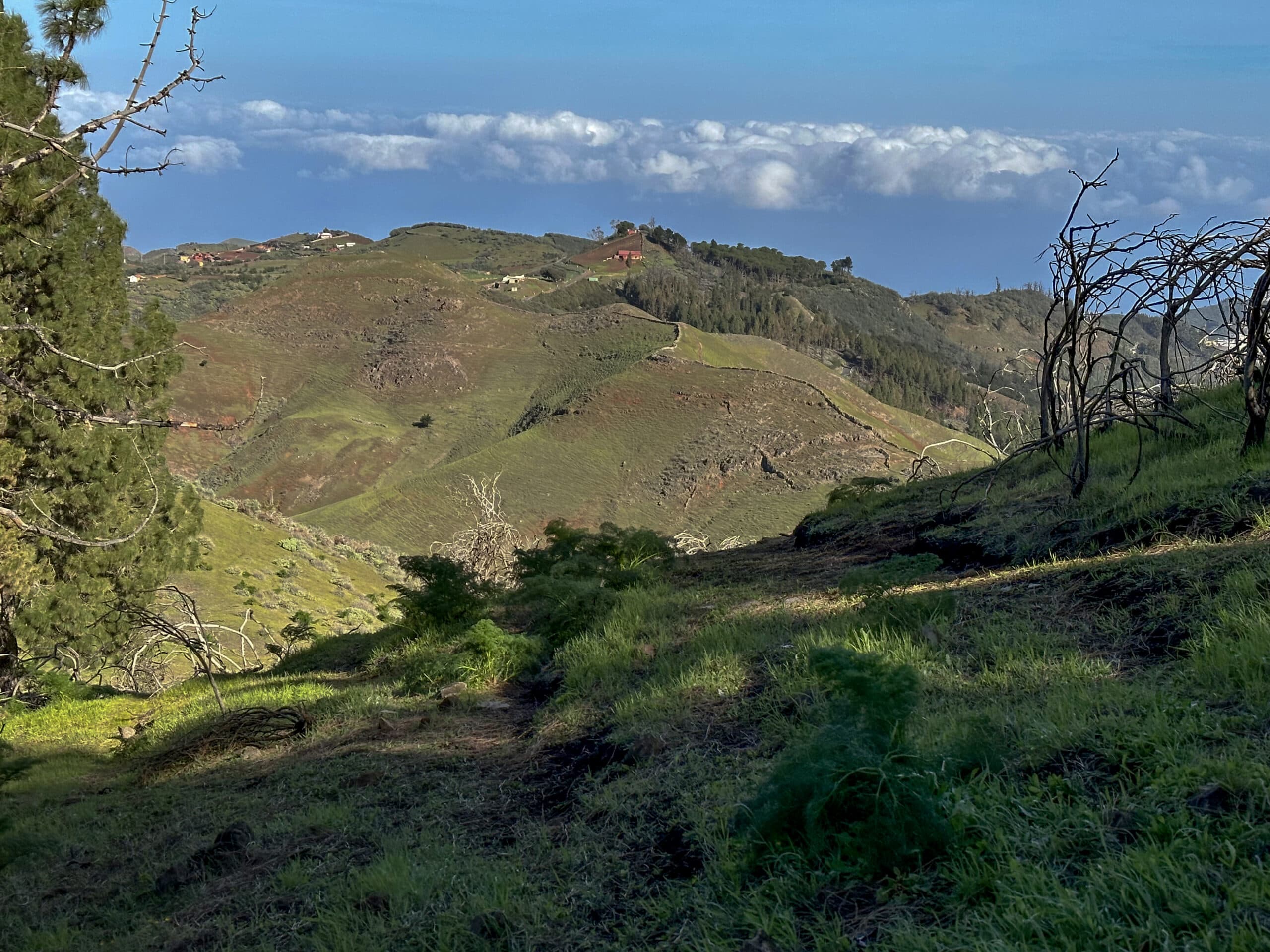Descent towards Fontanales through the Barranco Agua