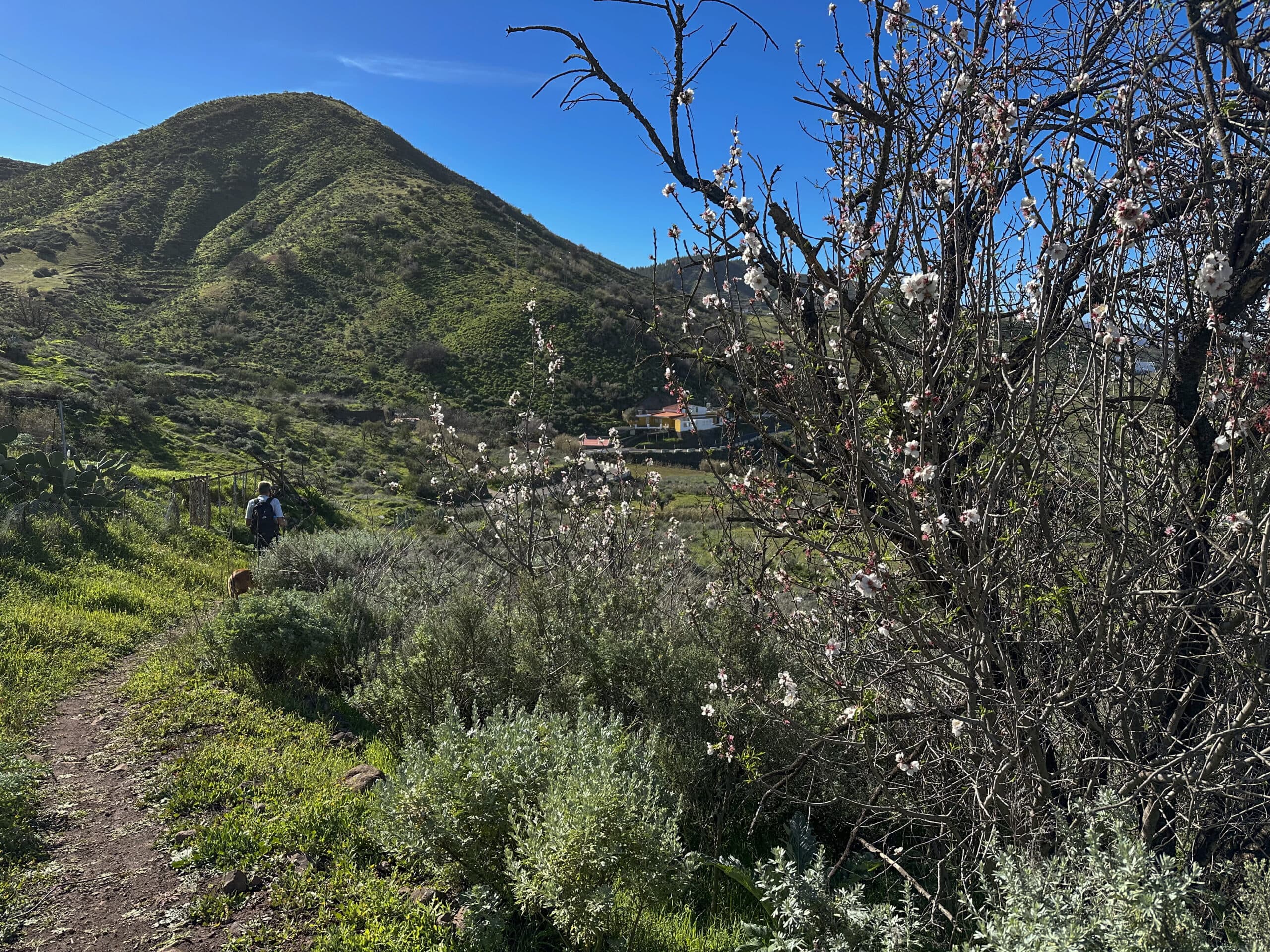 Hiking trail just before the road to El Tablado