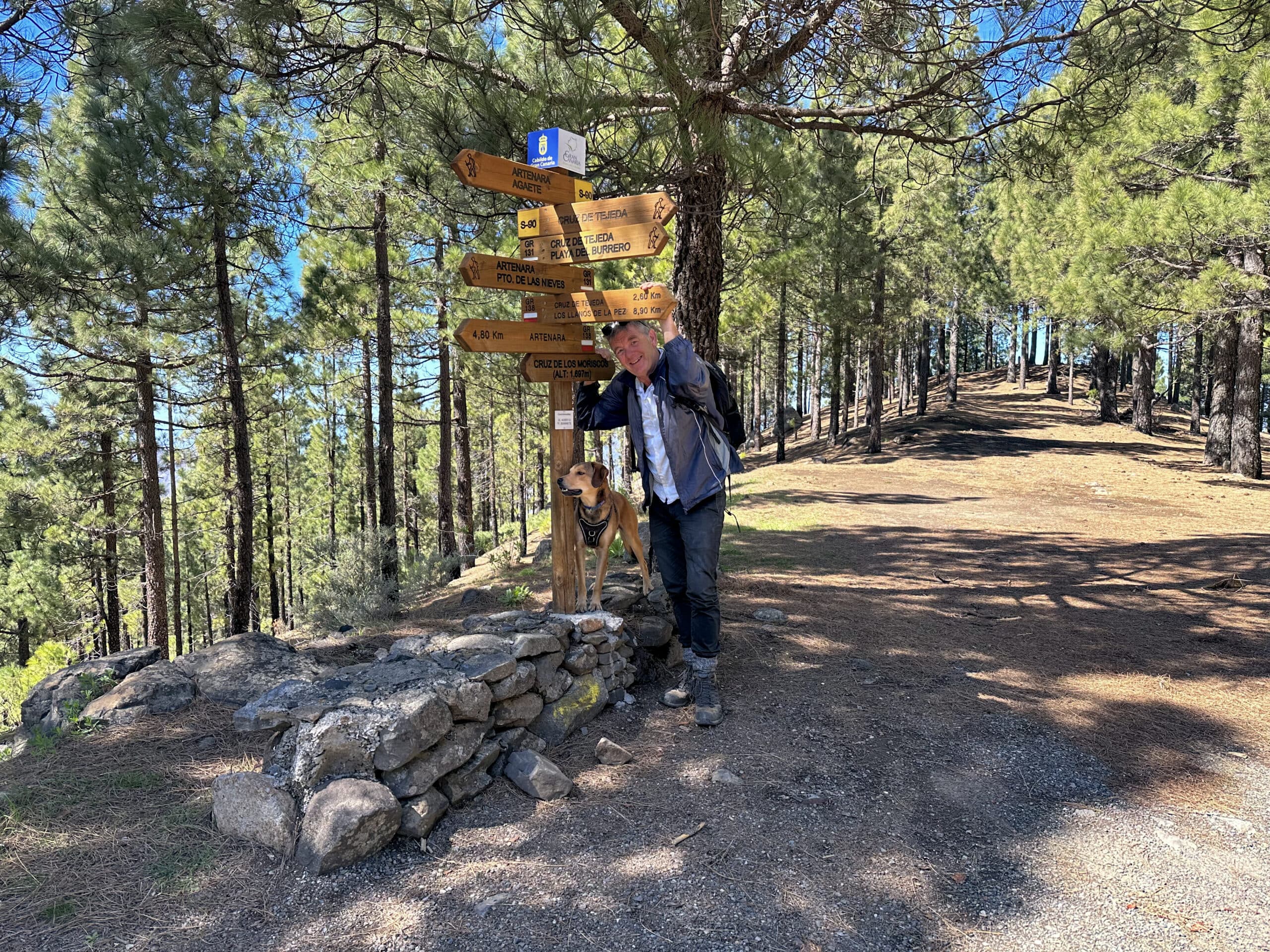 Crossroads above the Cuevas de Caballero - continue towards Los Moriscos