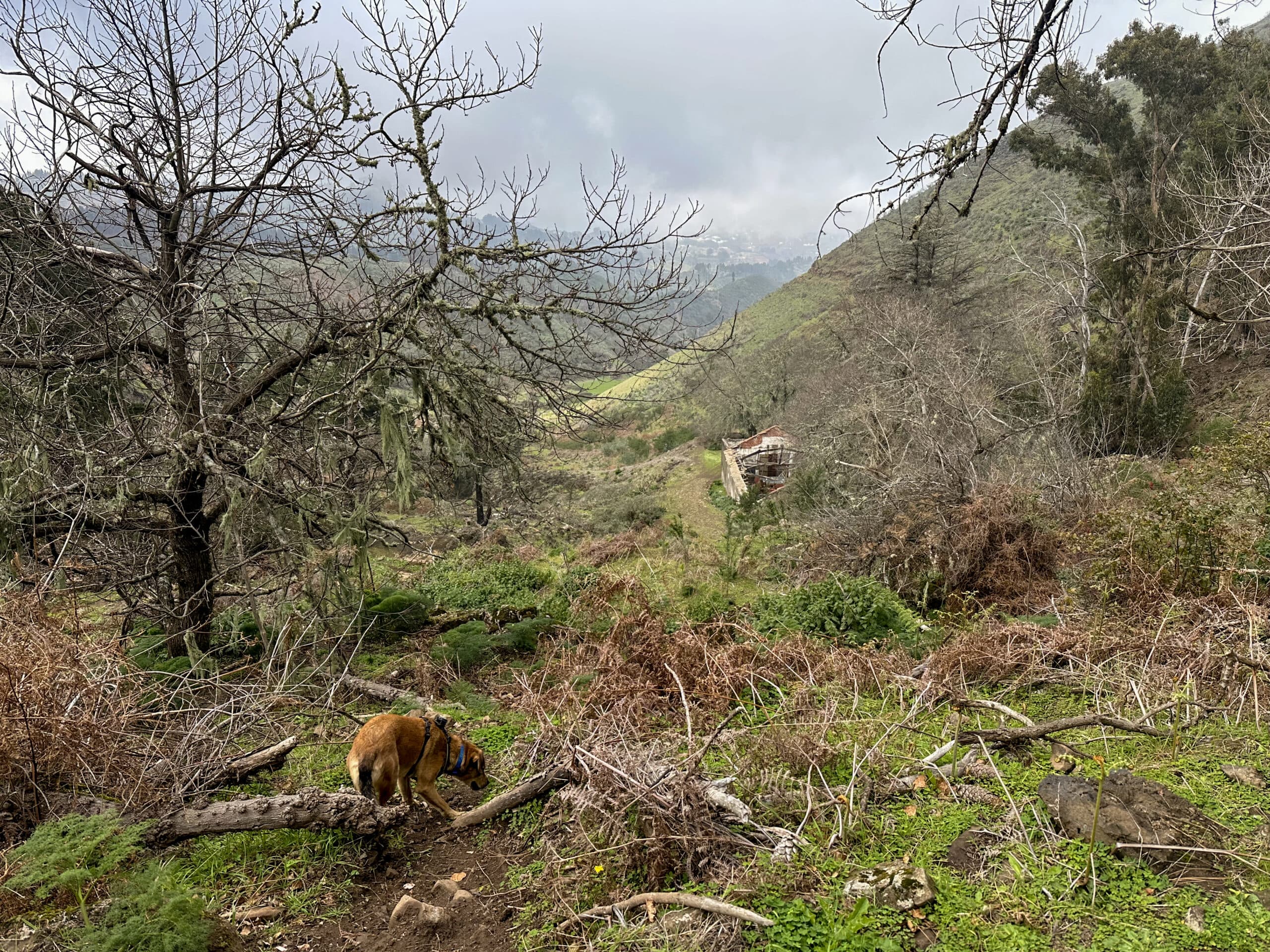 Sometimes the path is not easy to find in Barranco Agua - but you can't get lost