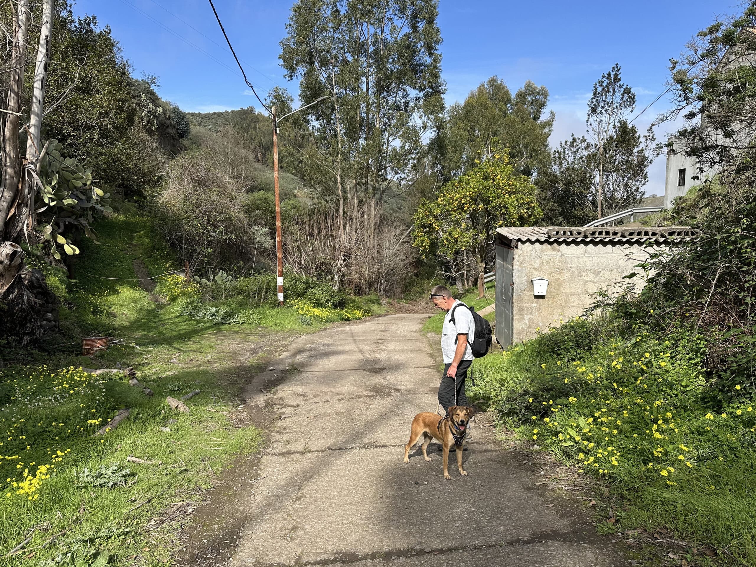 on the Camino Aguas de Fontanales