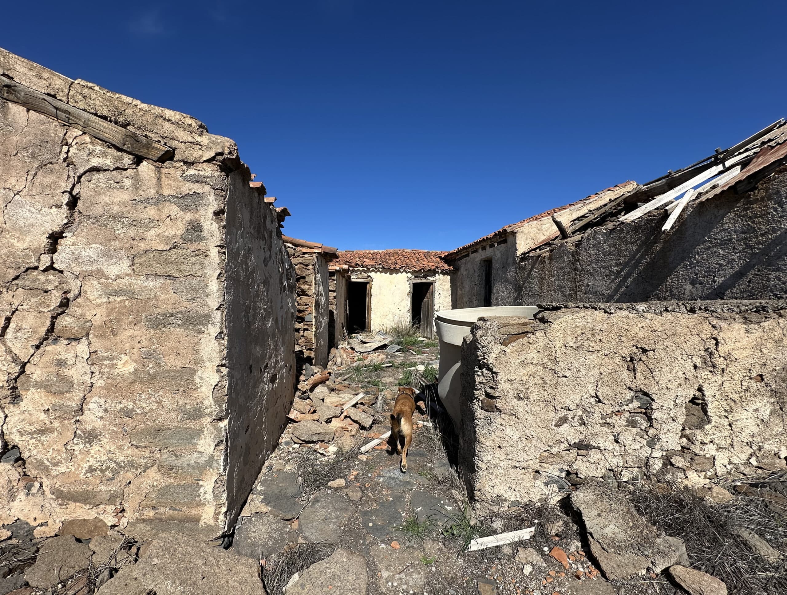 el cortijo en ruinas de Pino Redondo