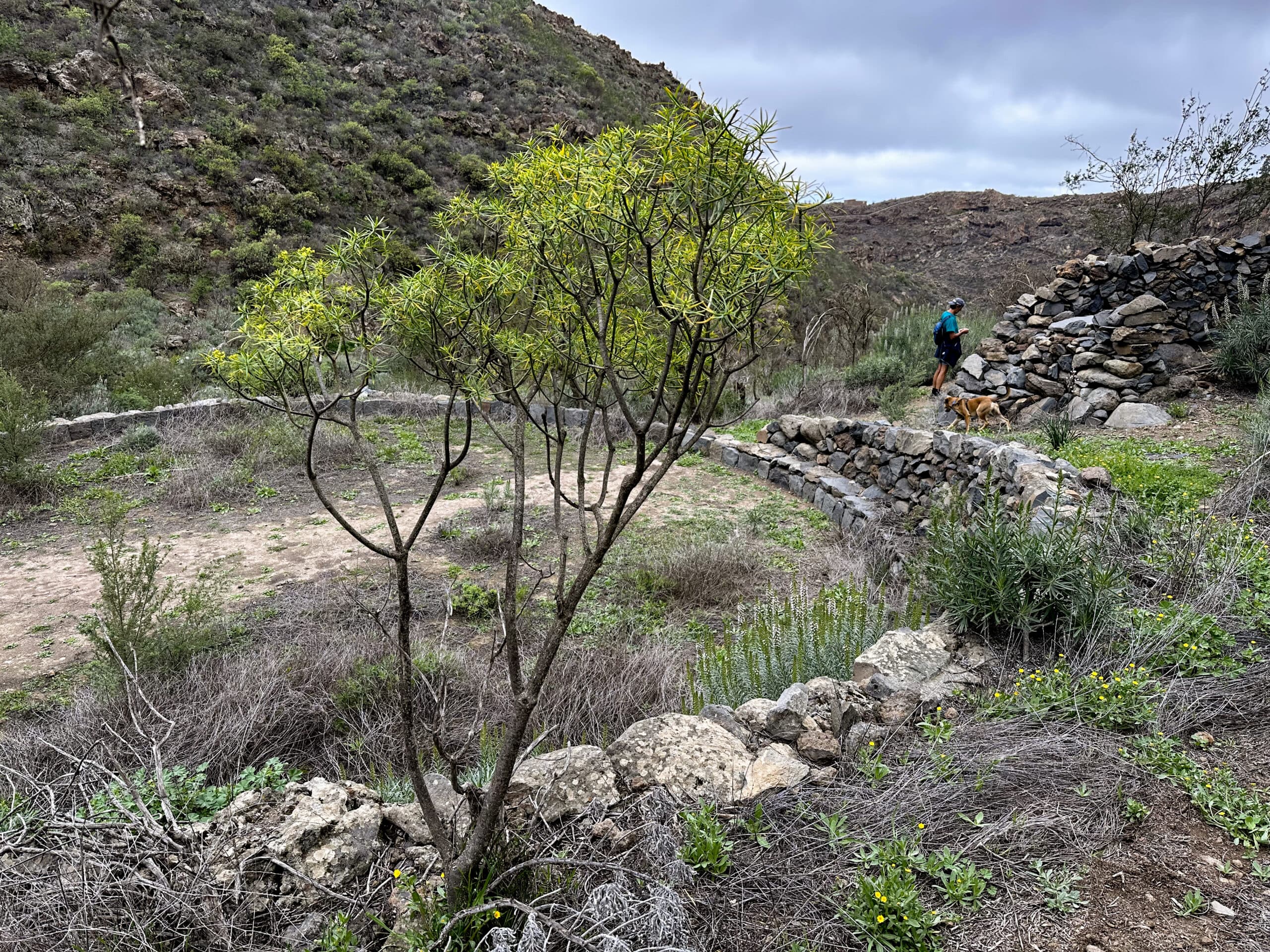 im Barranco Niágara - Dreschplatz und Höhlen