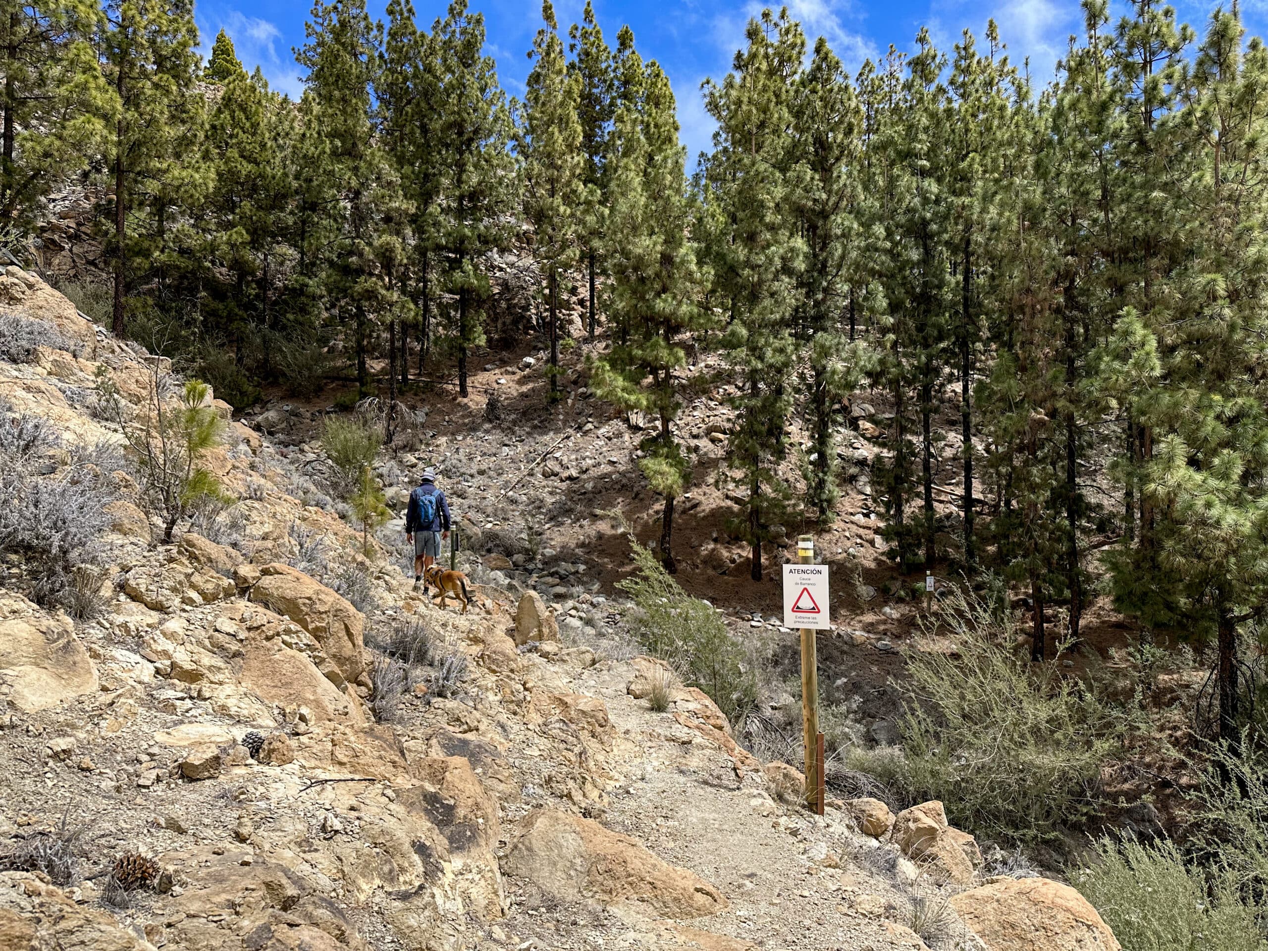 Auf dem Querweg durch den Barranco Niágara