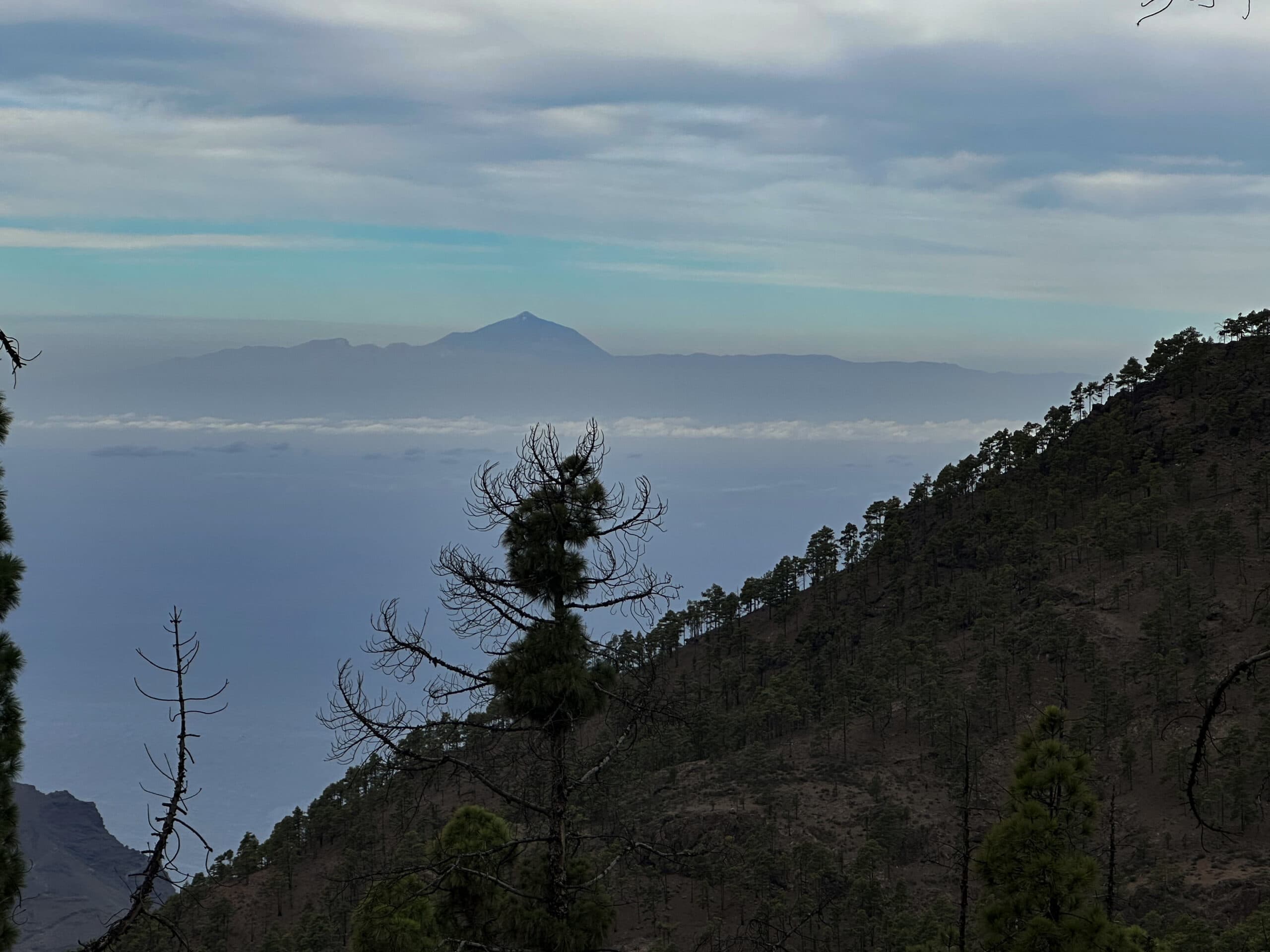 View of Tenerife and the Teide from the Pico de la Bandera hiking trail