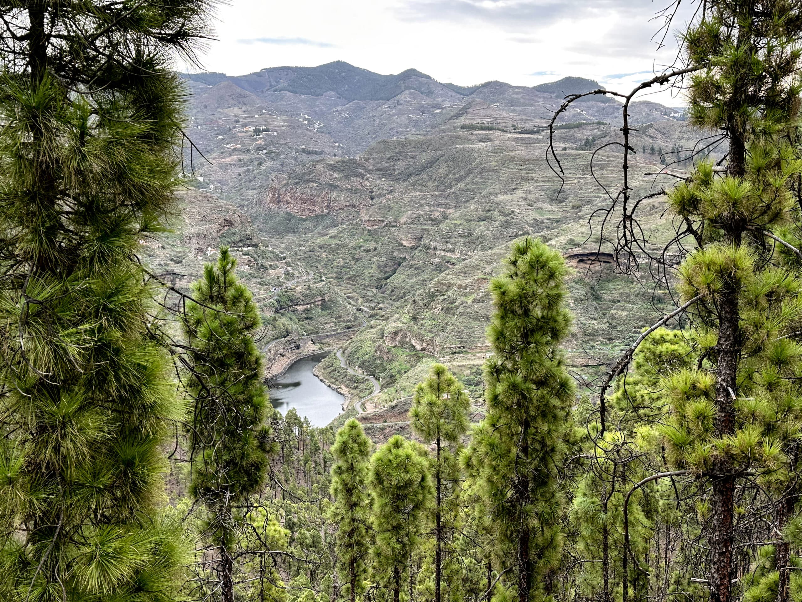 View down to the Presa de los Perez from the hiking trail in the Tamadaba Natural Park