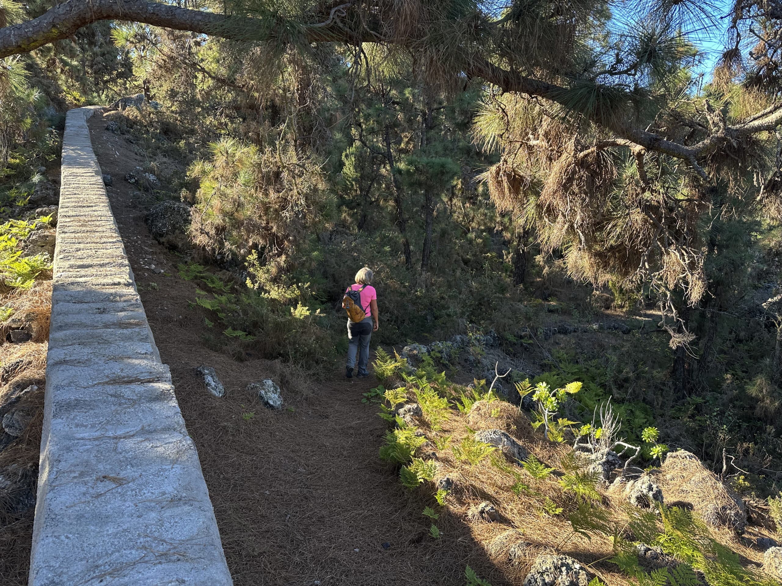Ruta de senderismo por San Juan del Reparo pasa por un canal
