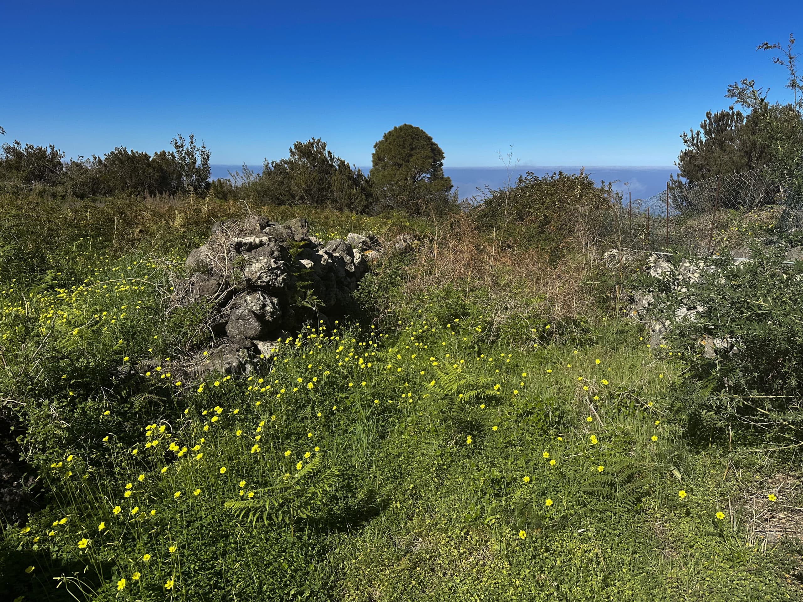Pequeño desvío en busca de una ruta de senderismo por prados y campos debajo de La Montañeta
