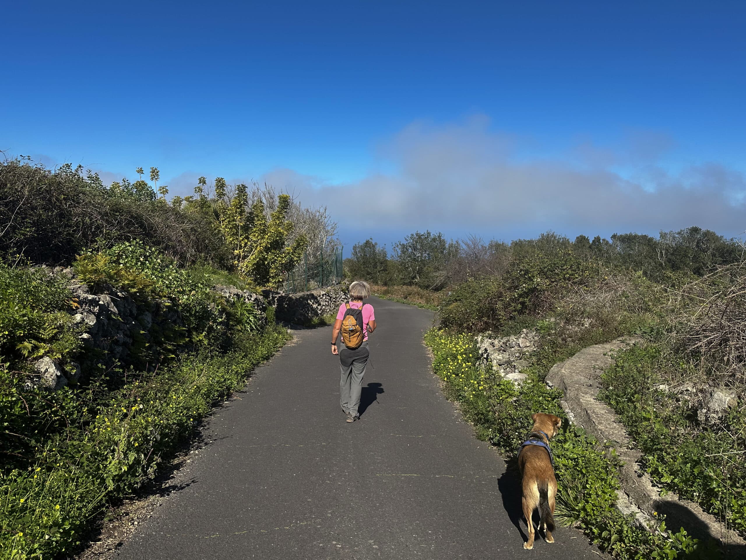 Ruta de senderismo por la calle El Monte hasta San Juan del Reparo
