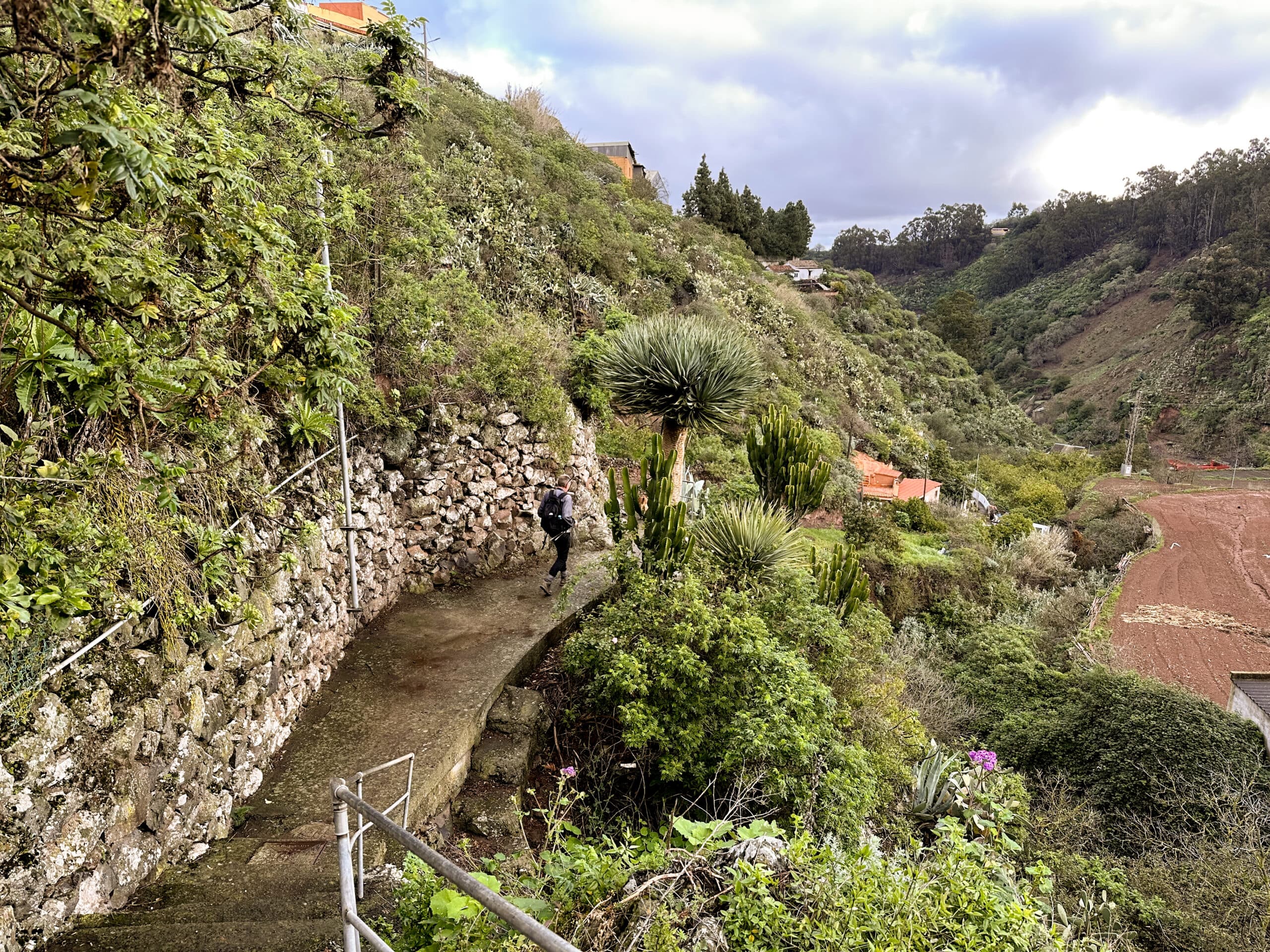 Ruta de senderismo (escalera) por debajo de Fontanales hacia la Reserva Natural Especial de Los Tilos 
