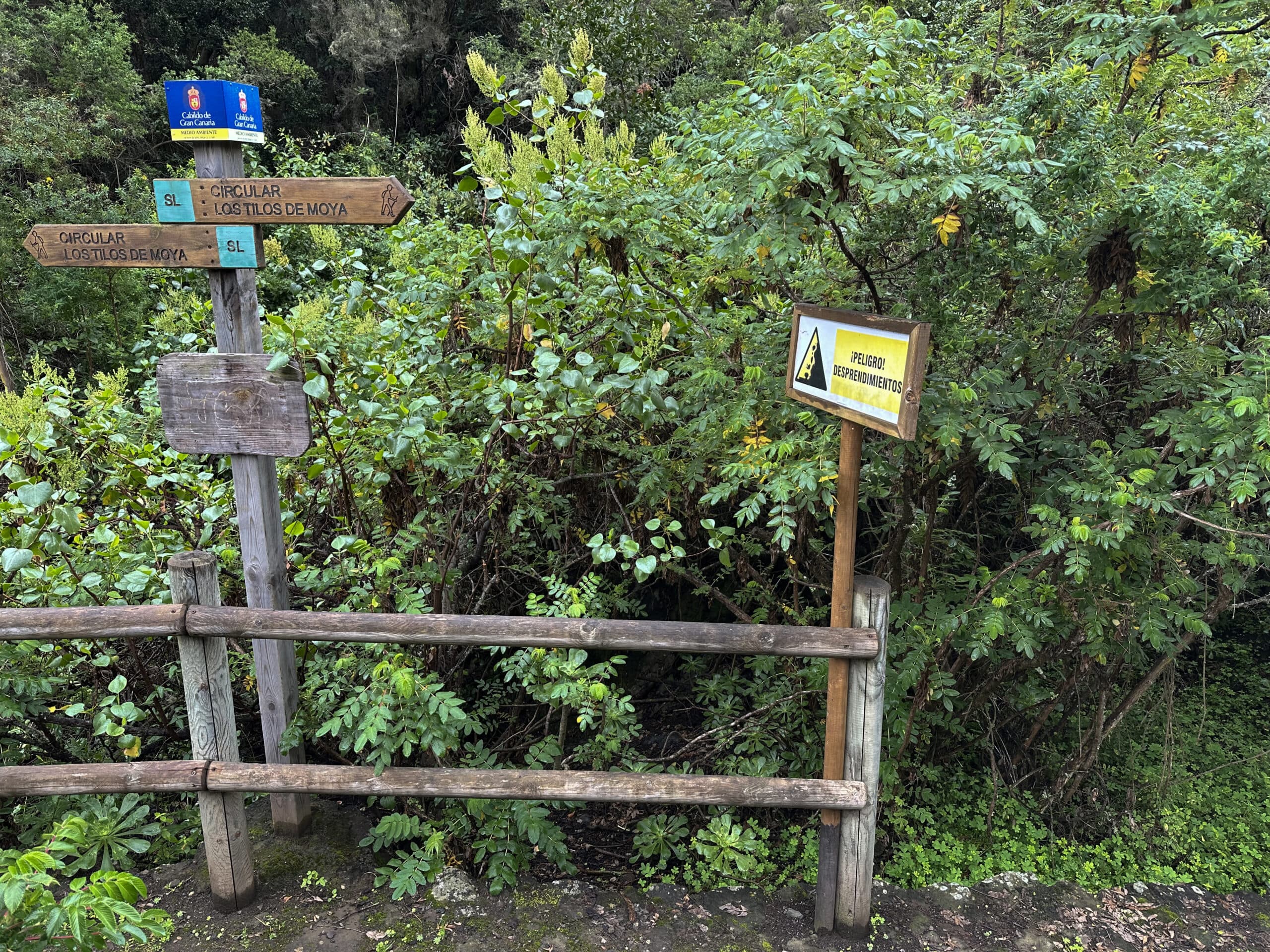 Señalización de la pequeña ruta de senderismo desde el centro de información - Circular Los Tilos (SL) Laurisilva
