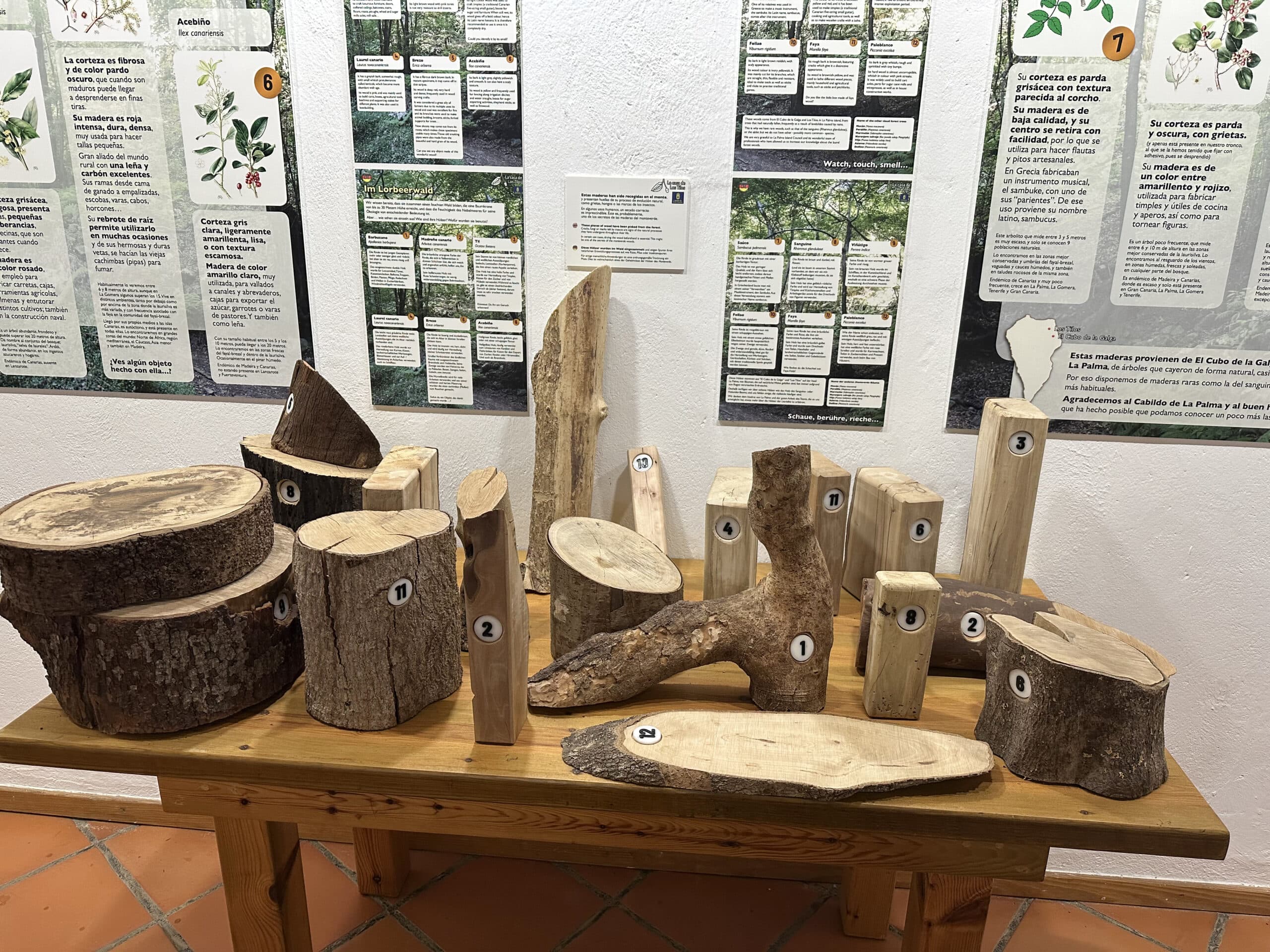 Centro de información de la Casa de Los Tilos - salas de exposición con interesantes muestras
