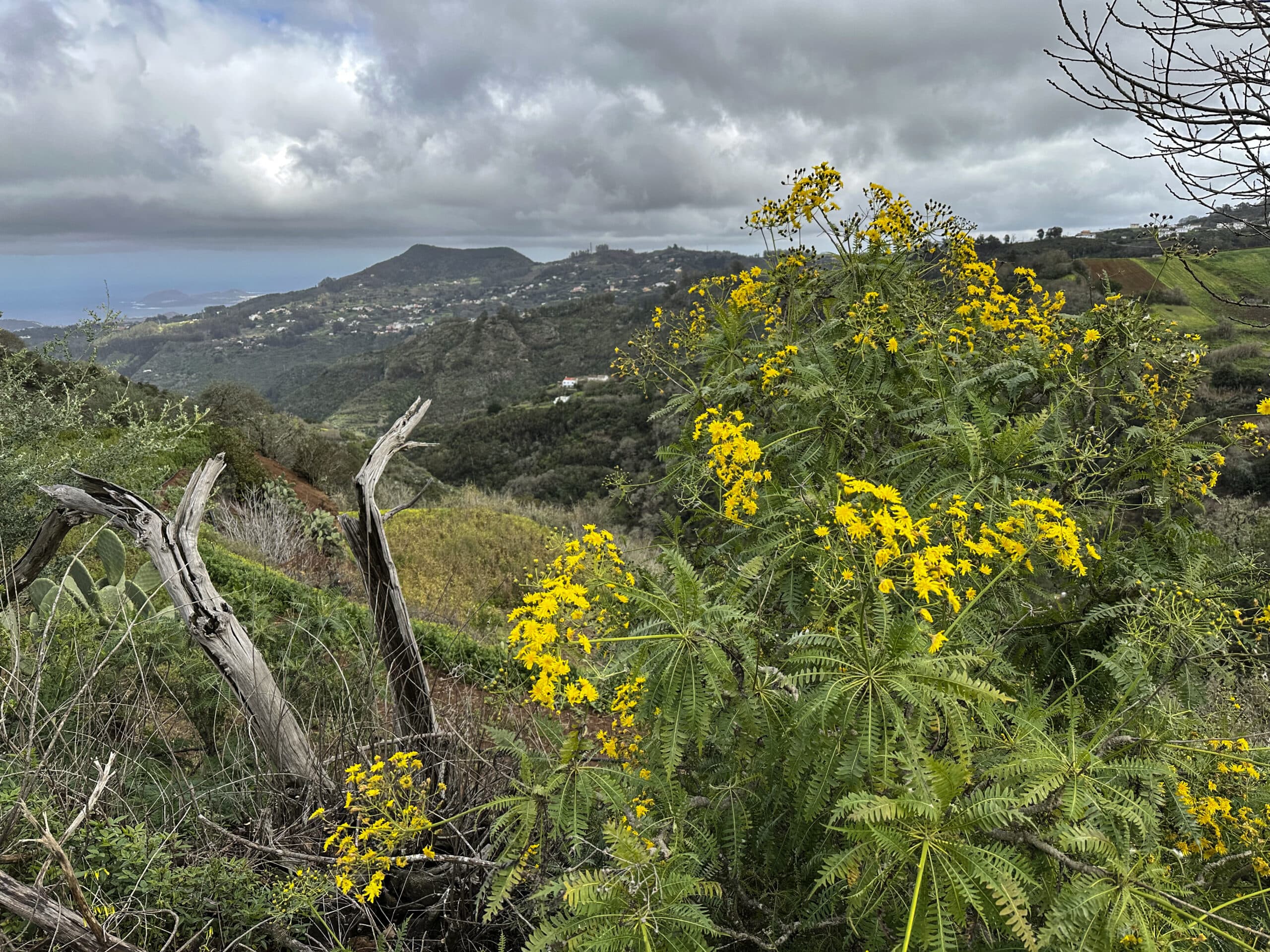 Senderismo a través de pequeñas aldeas canarias con maravillosas vistas - en el camino de vuelta a Fontanales
