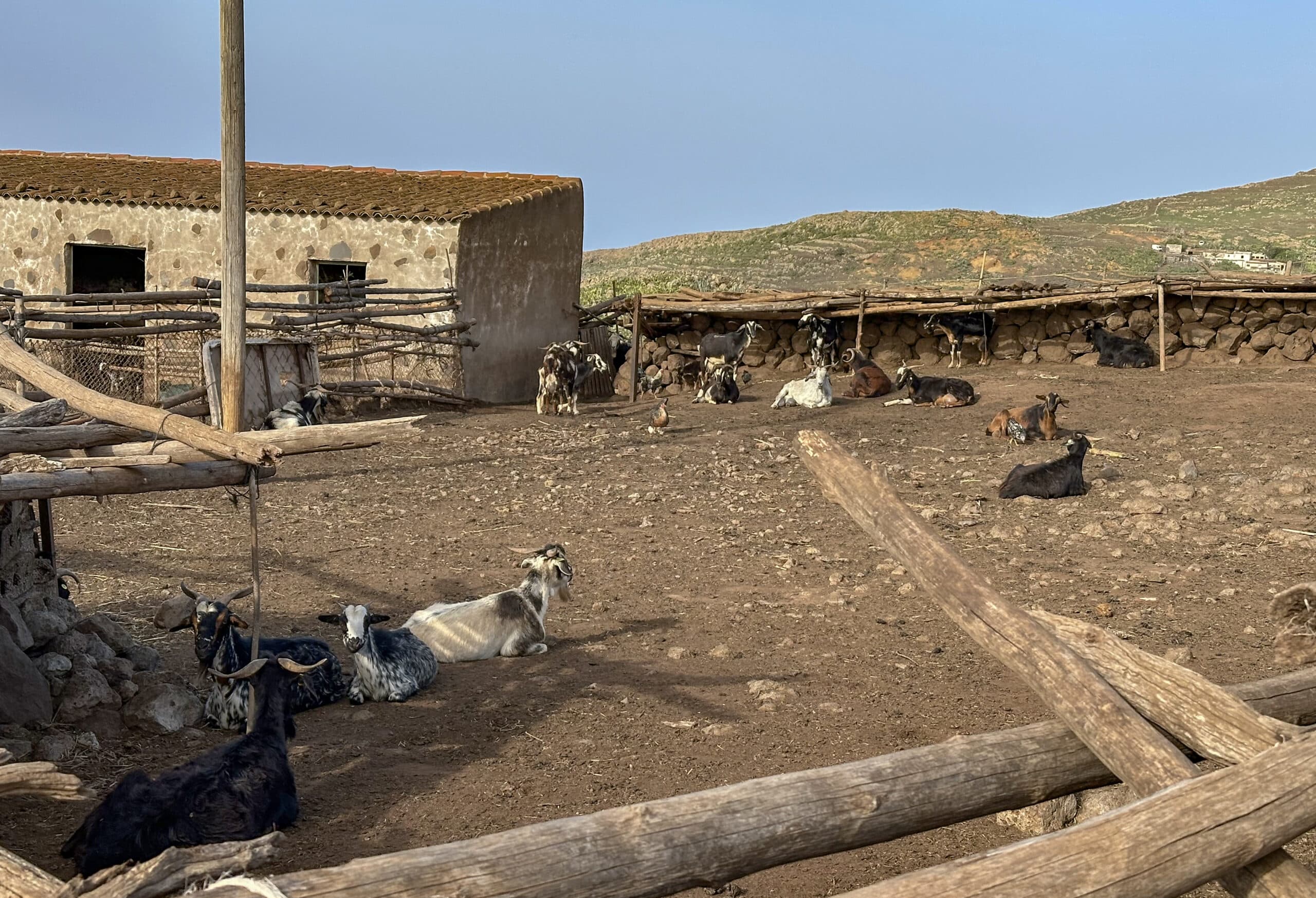 Ziegenfarm am Wanderweg hinter Teno Alto