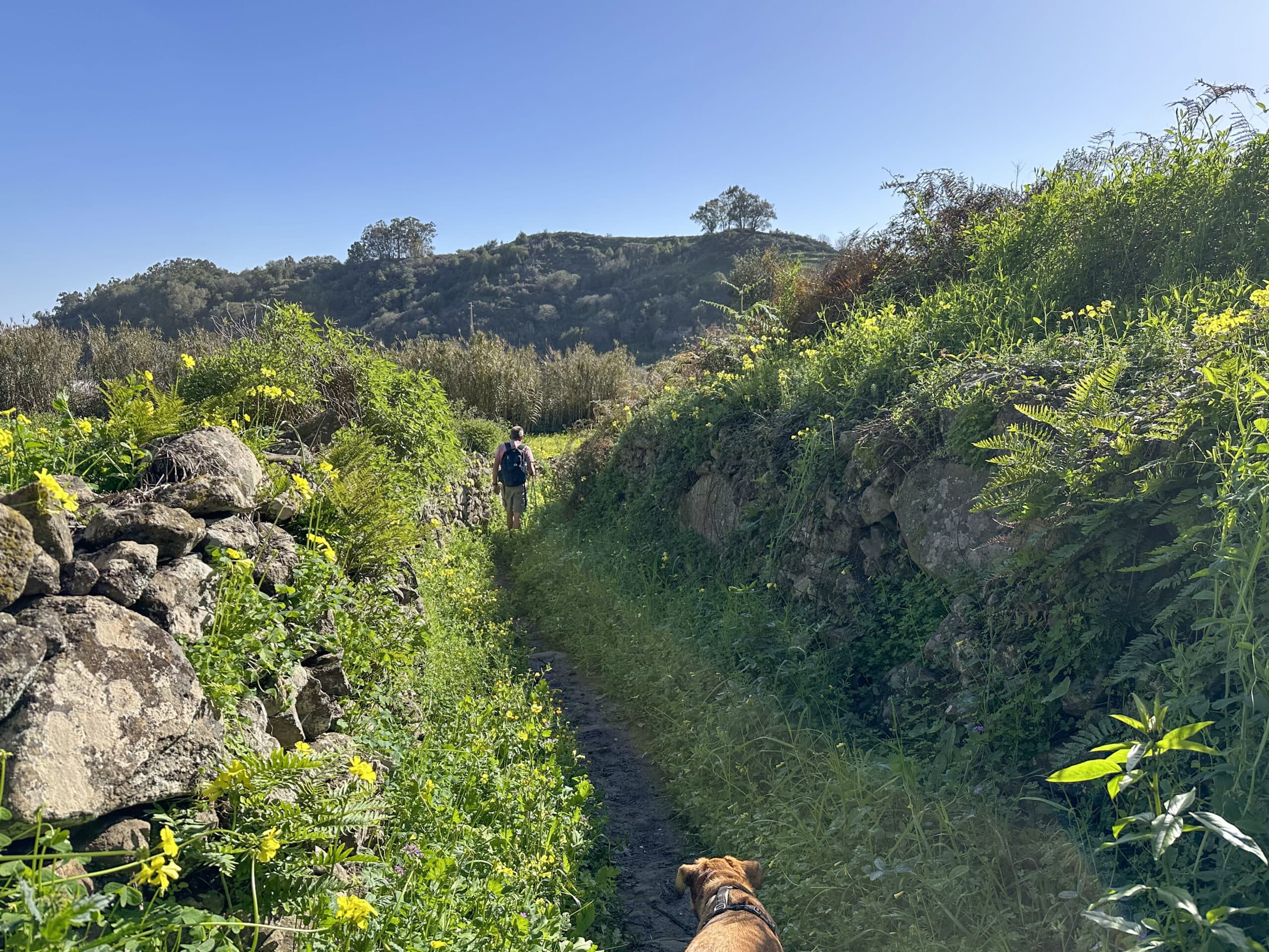 Hiking trail behind the GC-21 crossing on the way to Calle Parroco in Valleseco