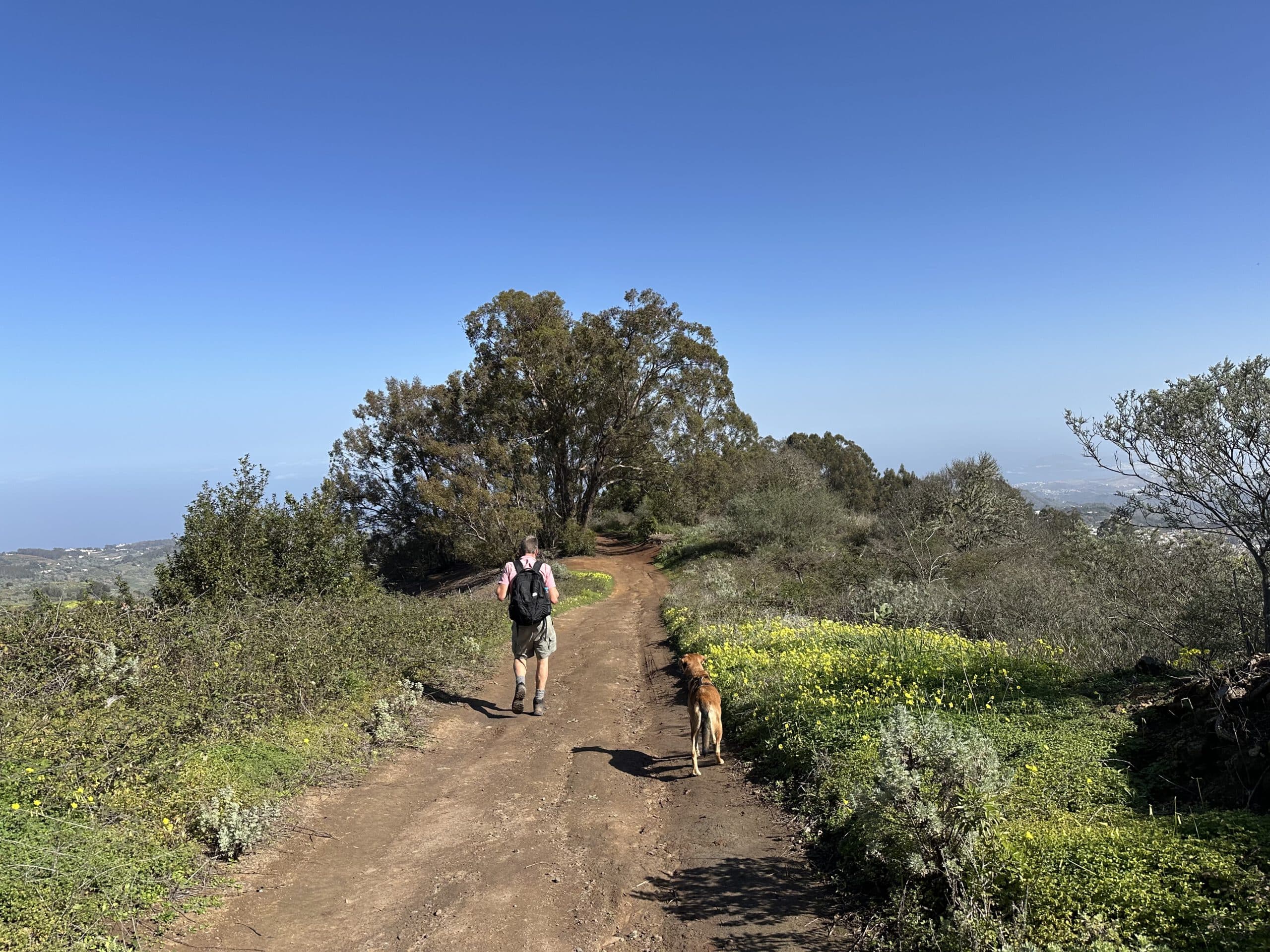 Hiker on the ridge trail above Valleseco - Lomo de la Rosa