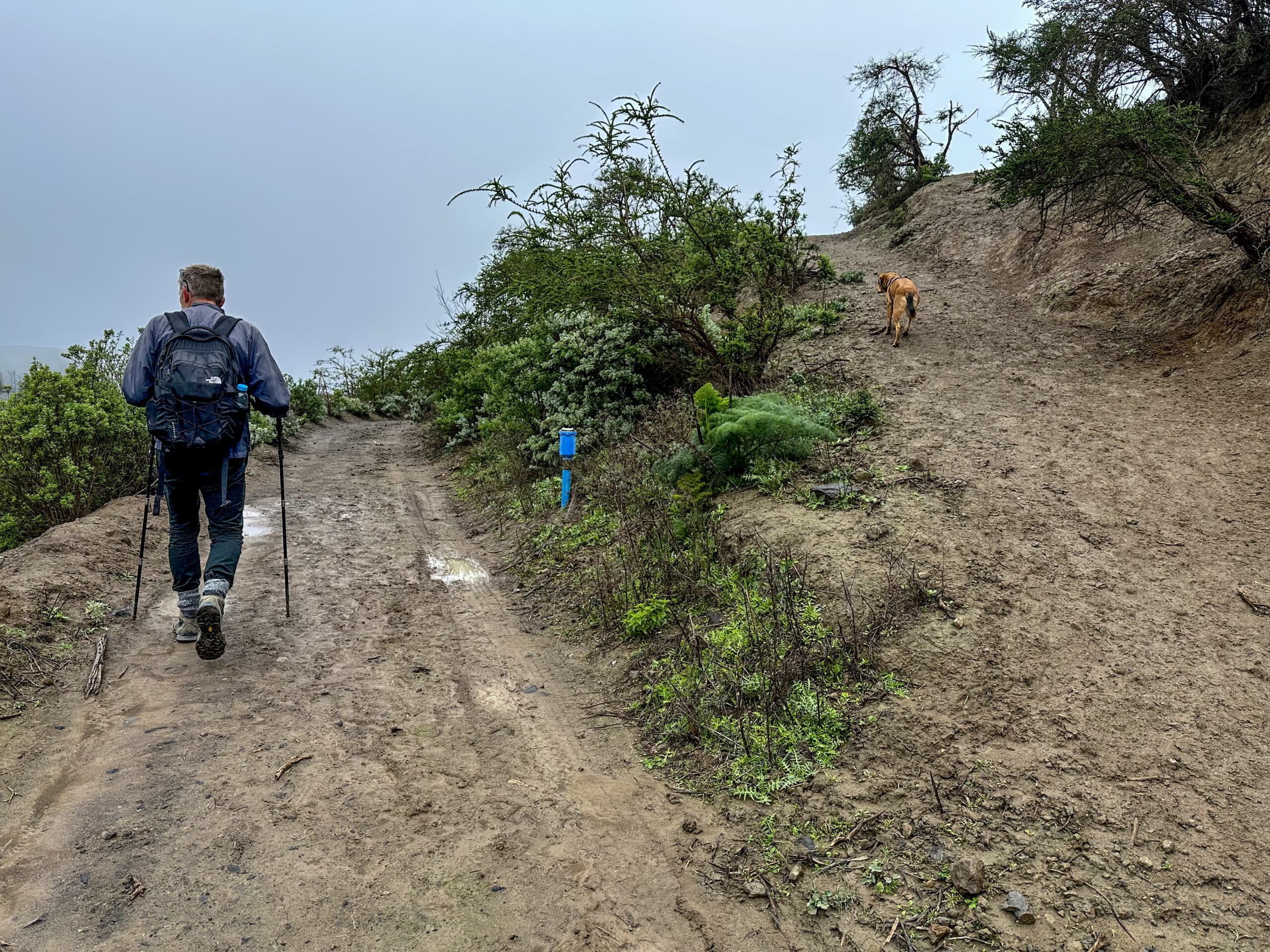 Hiking trail above Pozo de la Horcajada towards Pozo La Solana