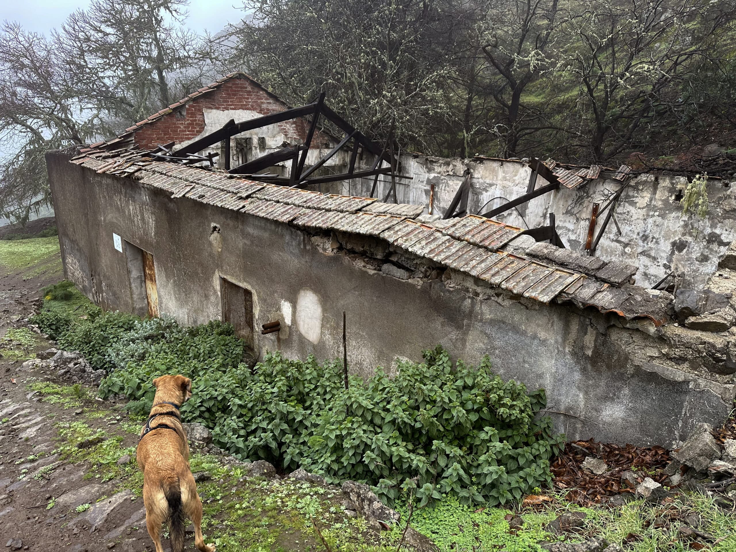 Galería in Barranco Agua on the hiking trail to Valsendero