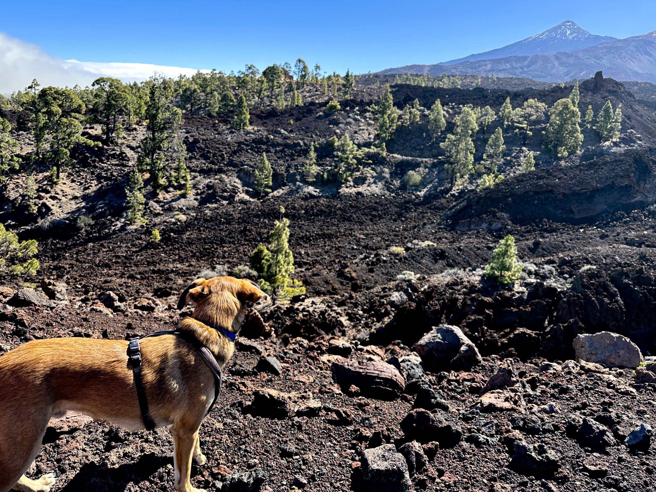 es gibt viel zu entdecken auf der Vulkanroute
