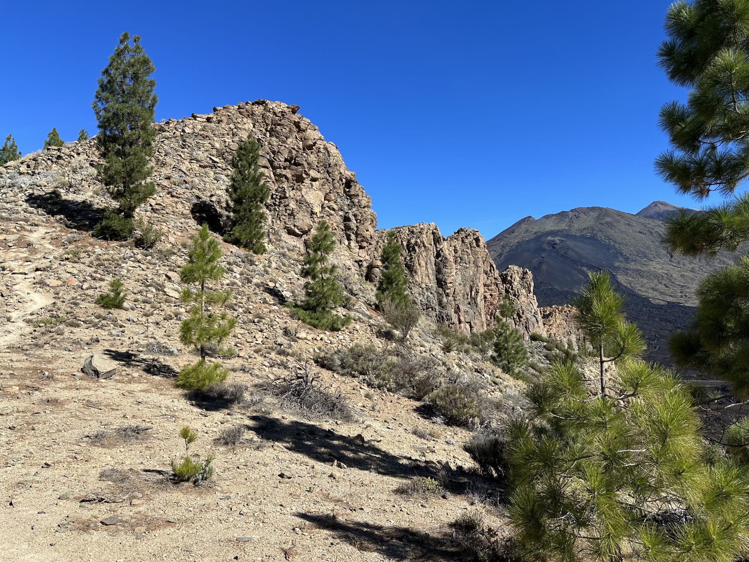 Camino de descenso por la parte trasera de la Montaña del Cedro hacia la meseta rocosa
