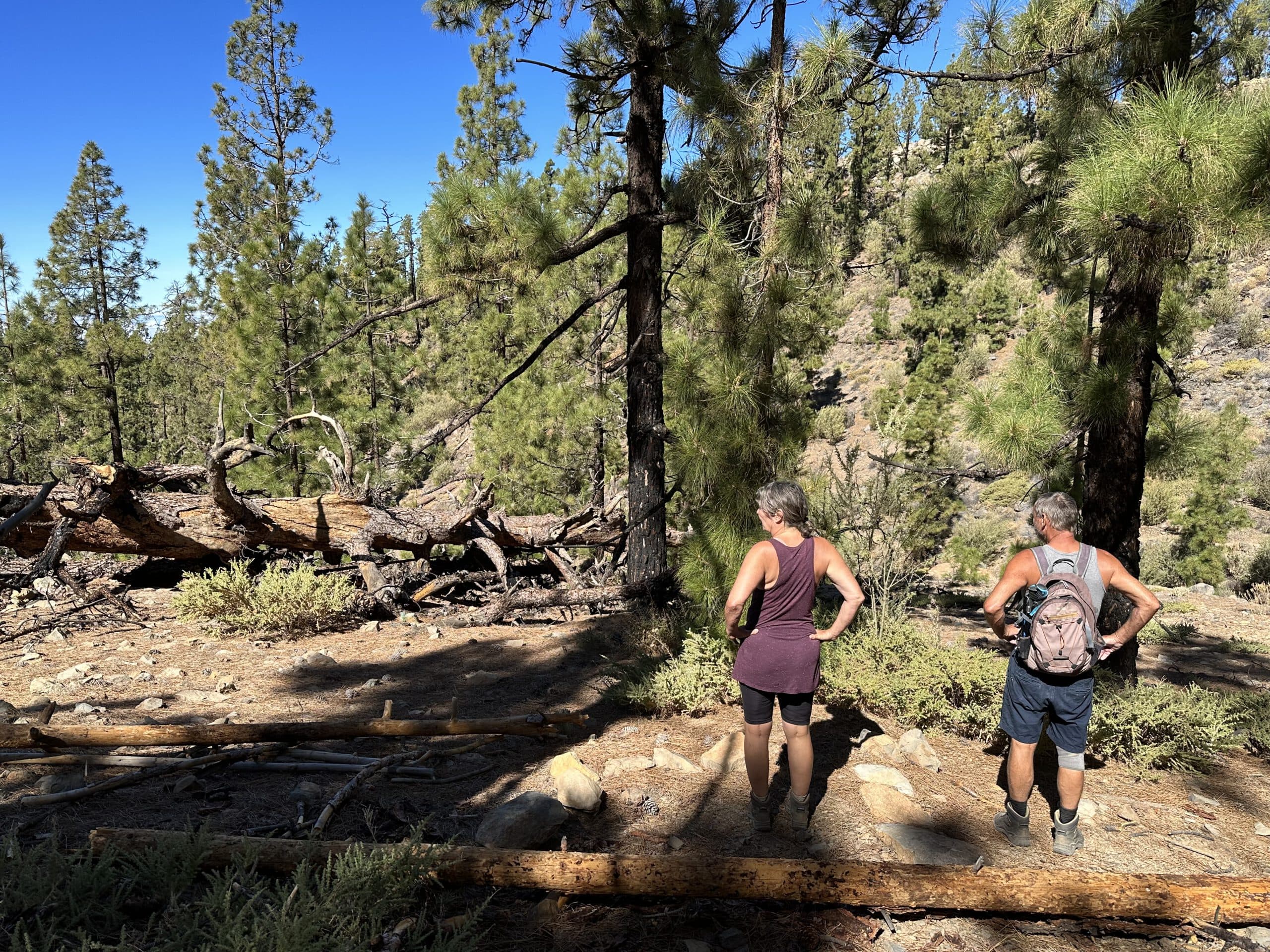 Excursionistas en el camino de descenso hacia el Barranco de las Peguerías

