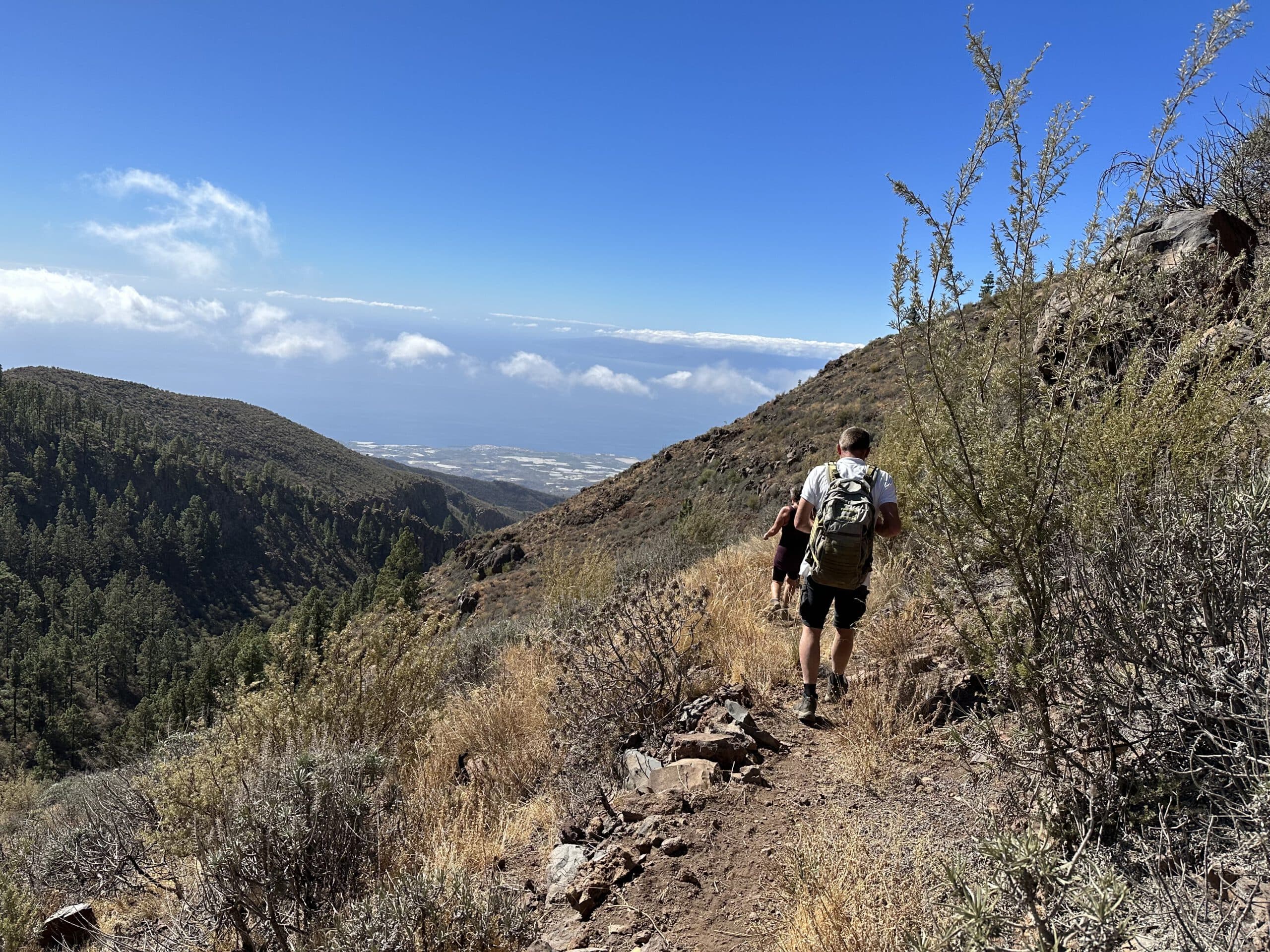 Sendero por el Barranco del Cedro
