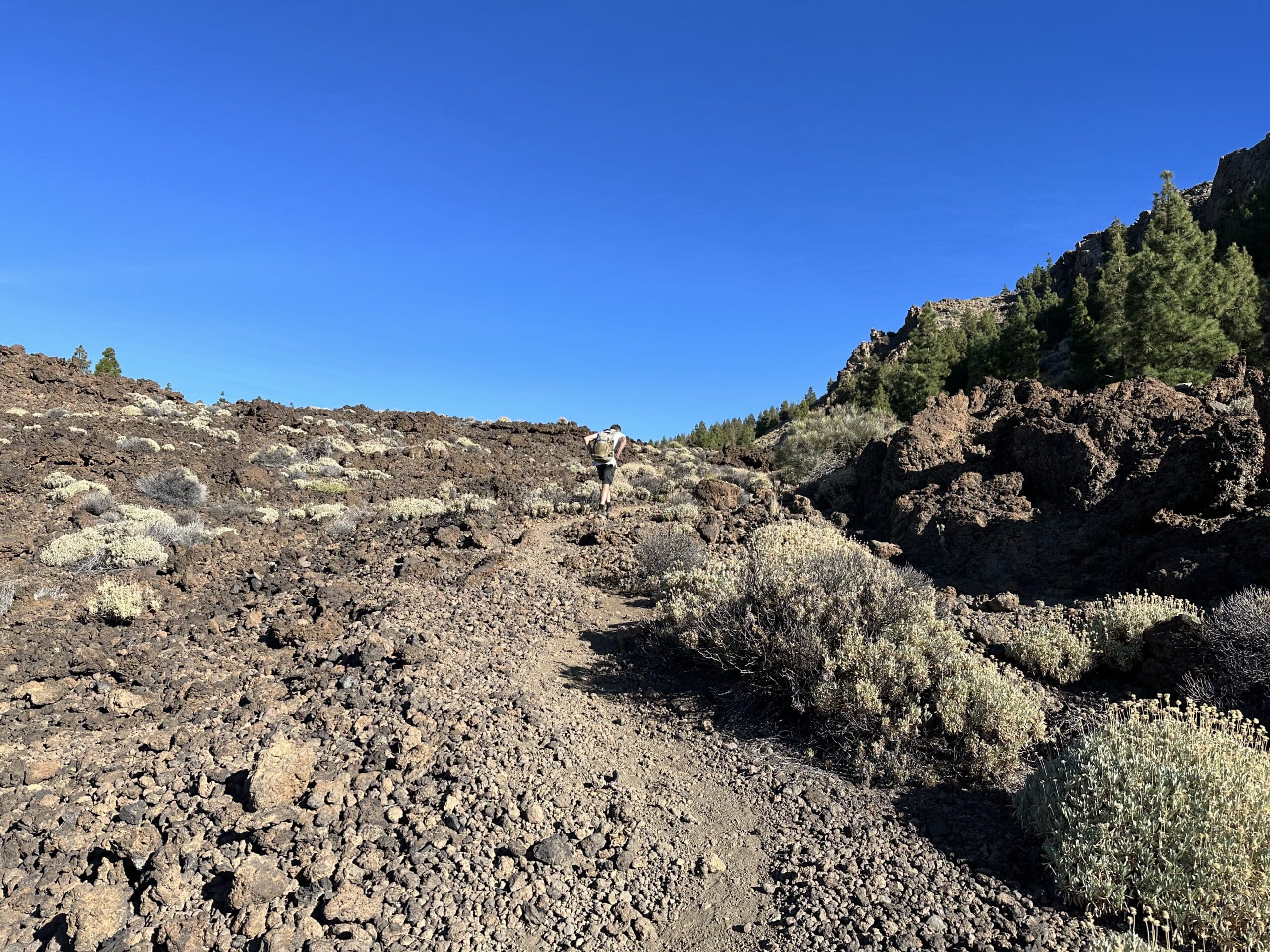 Sendero por el lado izquierdo de la Montaña el Cedro hasta el punto de partida de la ruta circular

