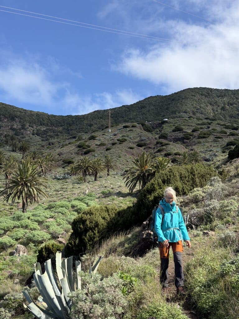 Wanderweg nach dem Abzweig GR-132 hinunter nach Tazo