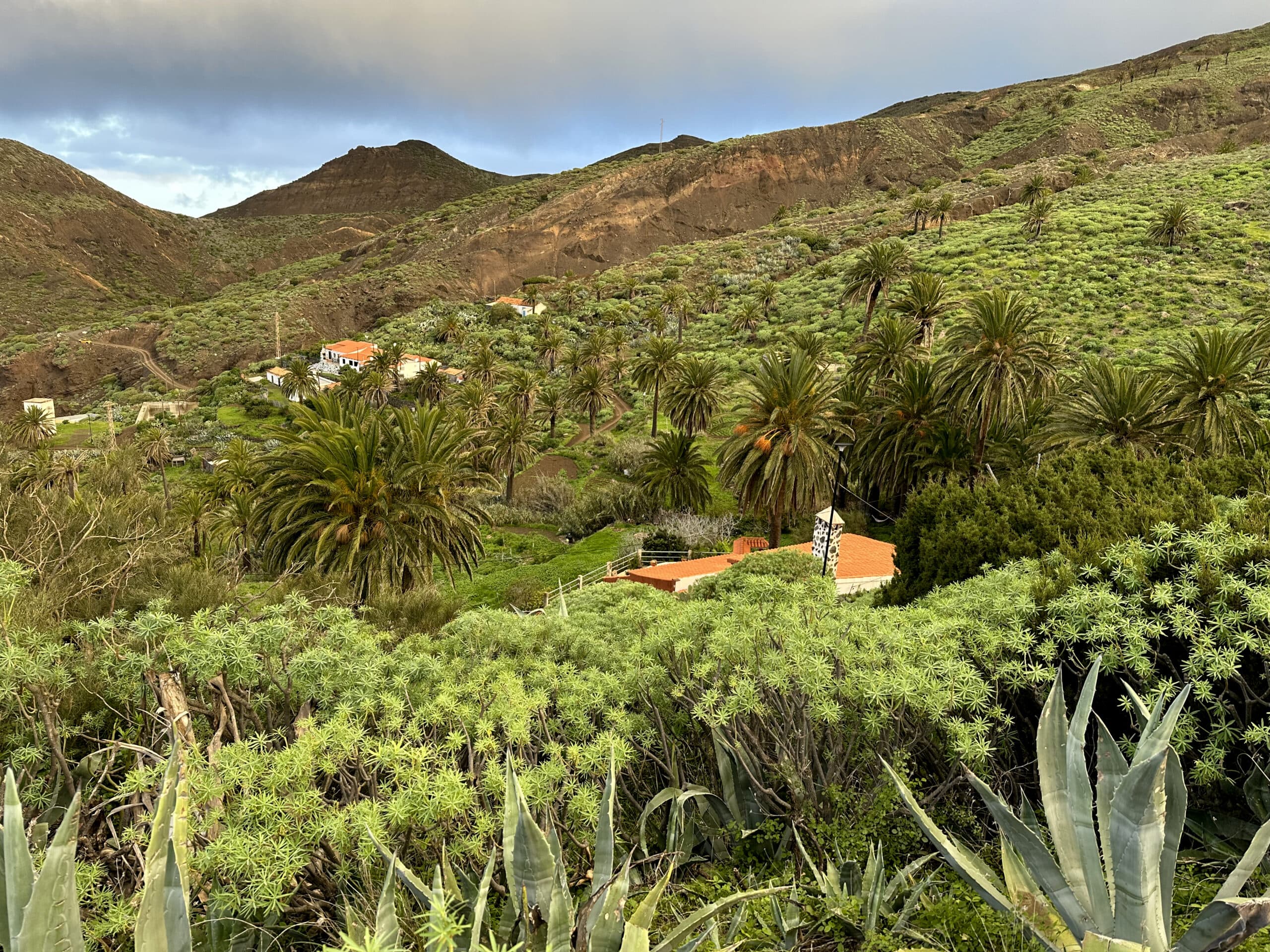 Blick vom Wanderweg auf die oberen Häuser von Tazo mit den Palmen bewaldeten Hängen
