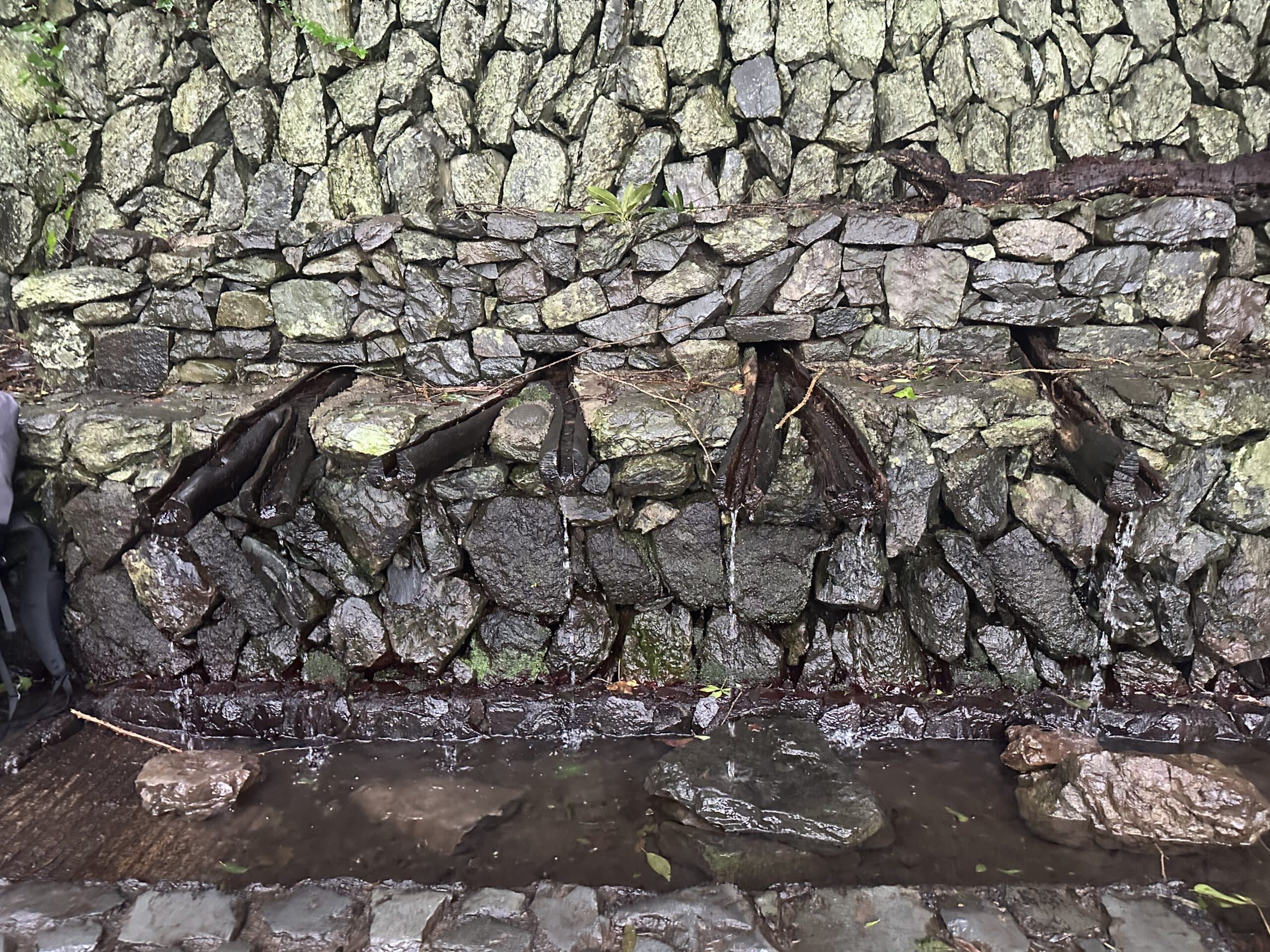 Rundwanderung Tazo – Einsame Wege und Heilquellen im „wilden“ Westen La Gomeras