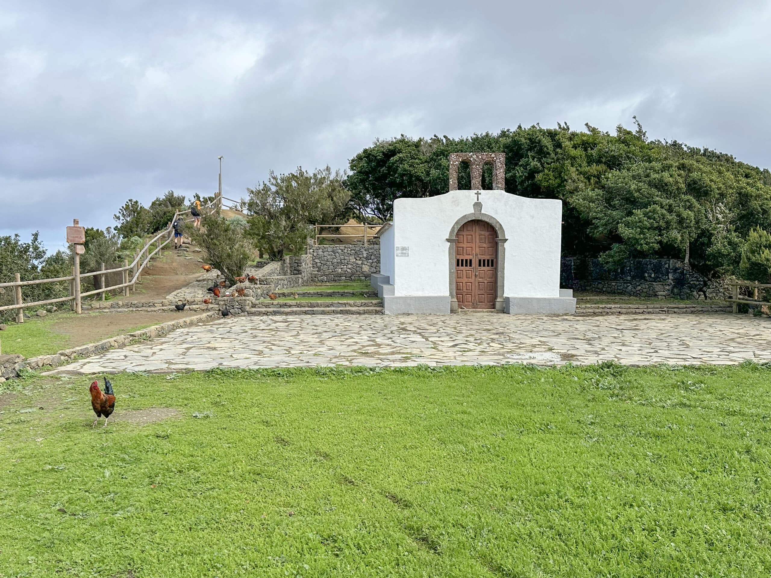 Santa Clara mit "Federvieh"