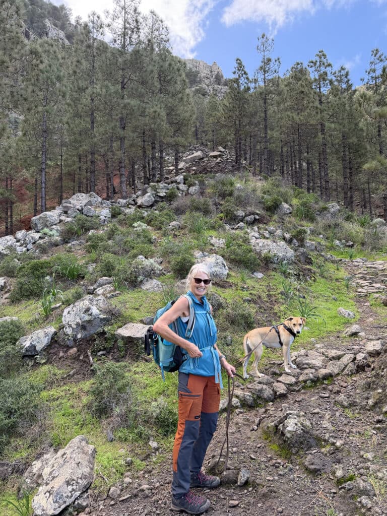 Aufstiegsweg Richtung Arure und Mirador de El Santo durch den Fichtenwald