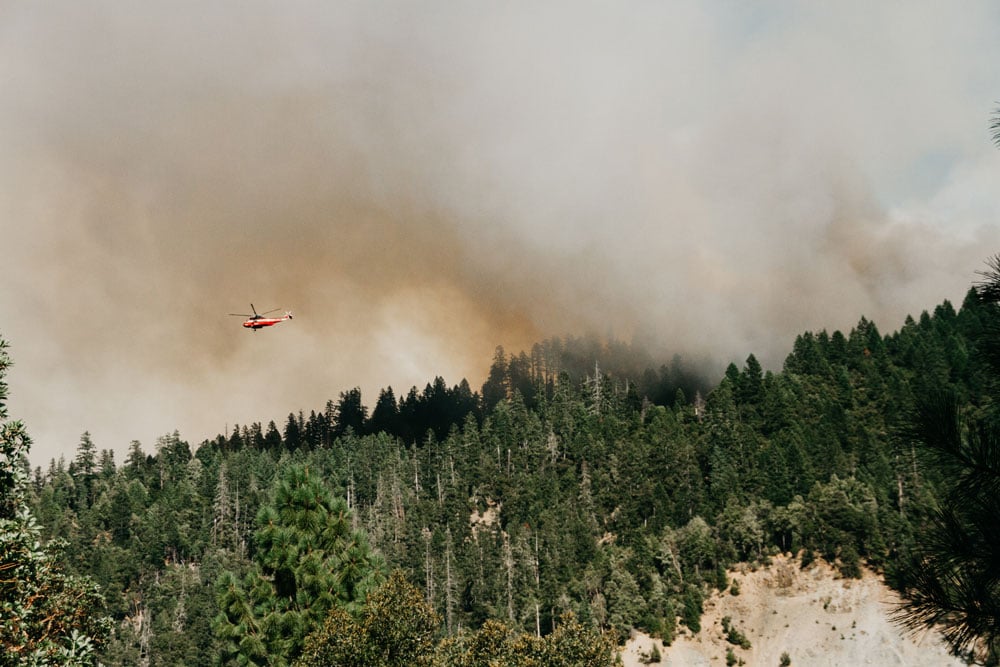 Waldbrand auf Teneriffa