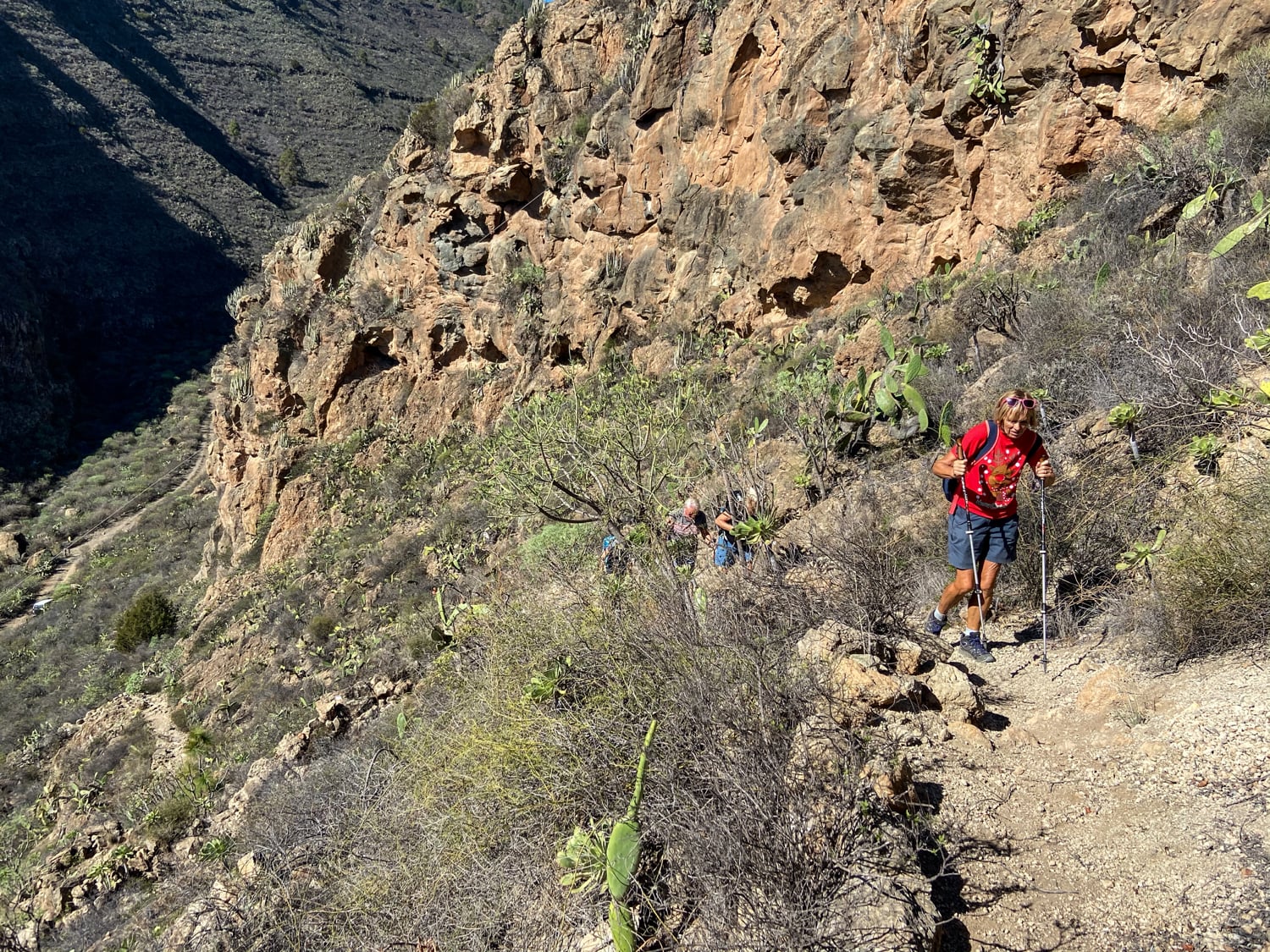Zwei Wanderungen um Arico und den Barranco Tamadaya