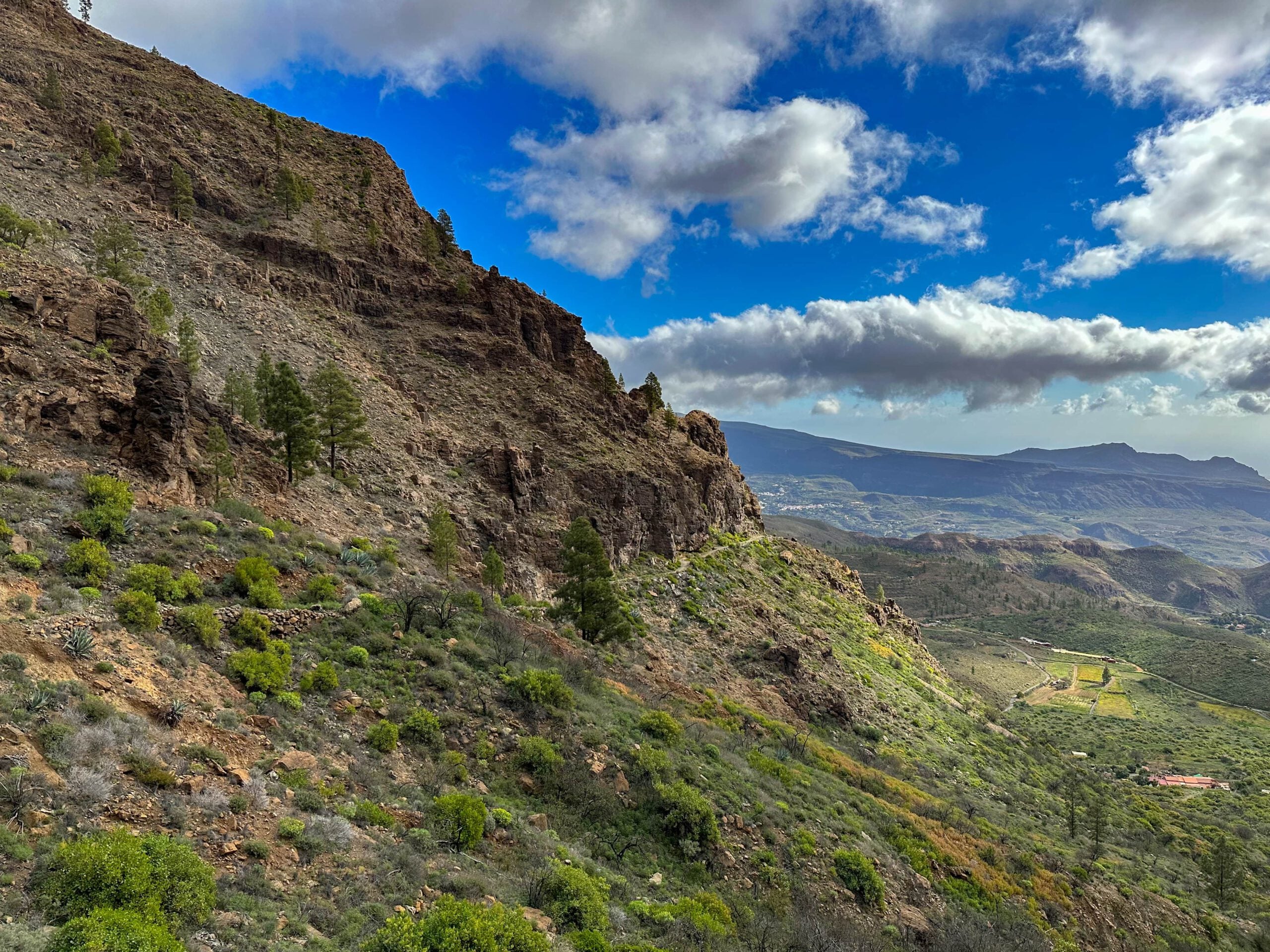 Small circular hike from San Bartolomé de Tirajana via Cruz Grande