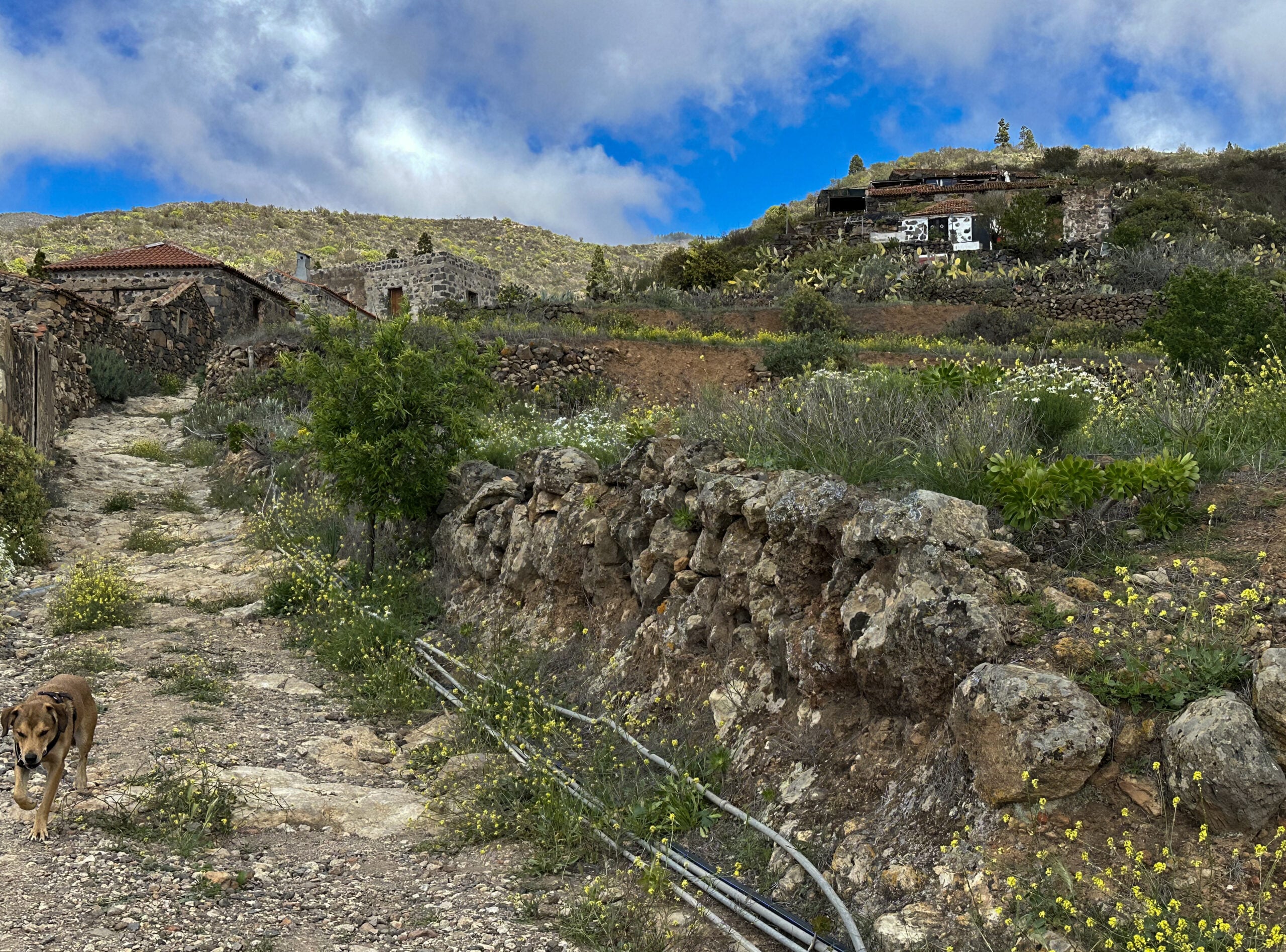 Gran ruta circular desde el Caserío de las Fuentes a través del Barranco Niágara: el Machu Picchu de Tenerife