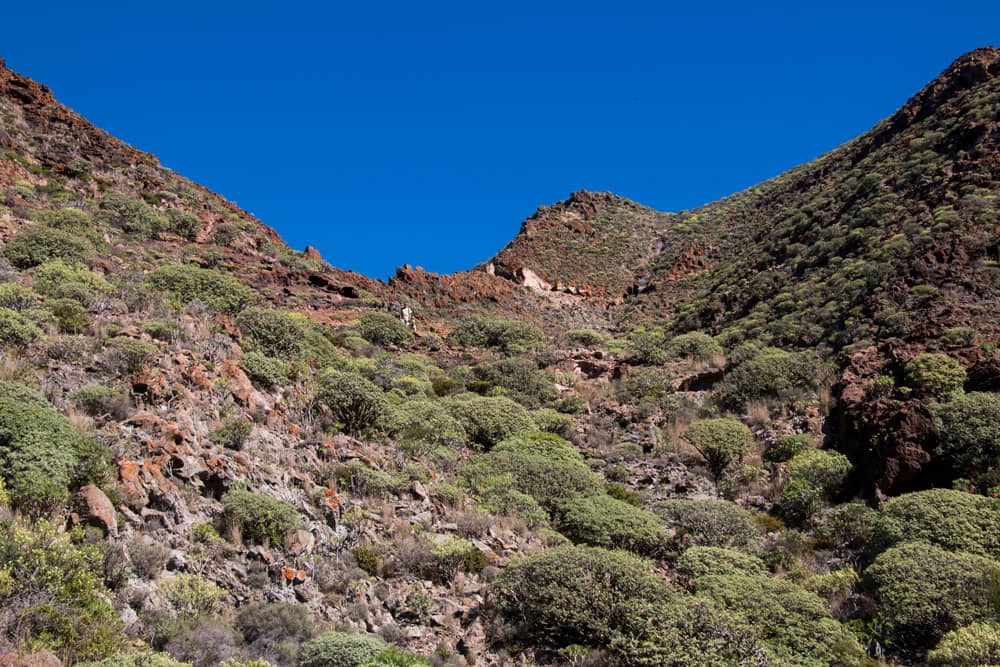 Weg von der Höhe in den Barranco Chico