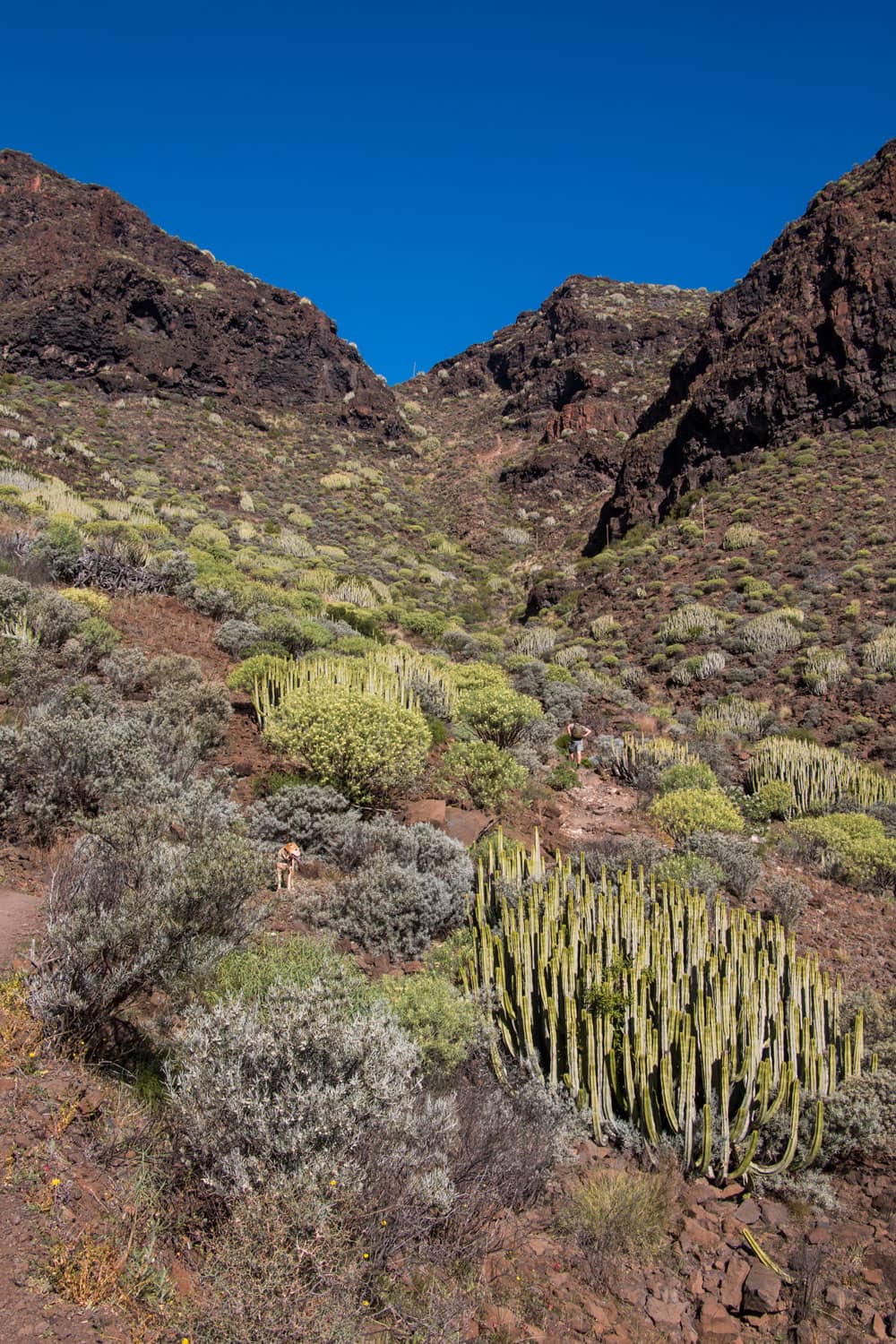 Weg von der Degollada Aguas Sabinas zum Strand von Güi Güi