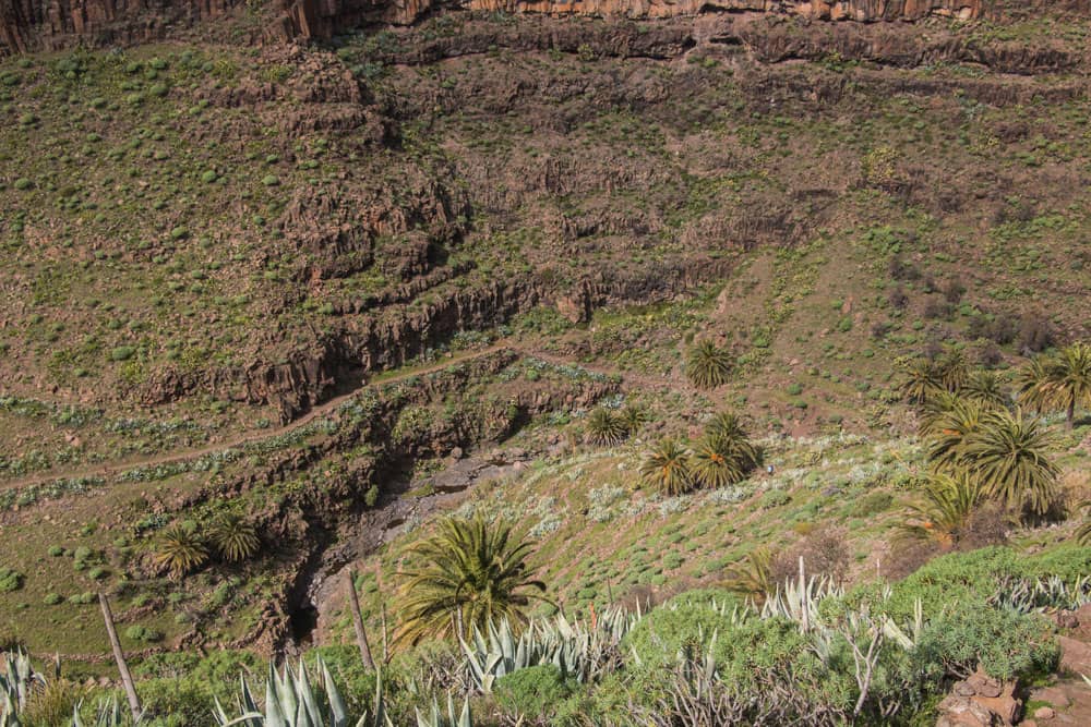 Wanderweg von der Degollada del Cerrial nach La Matanza.